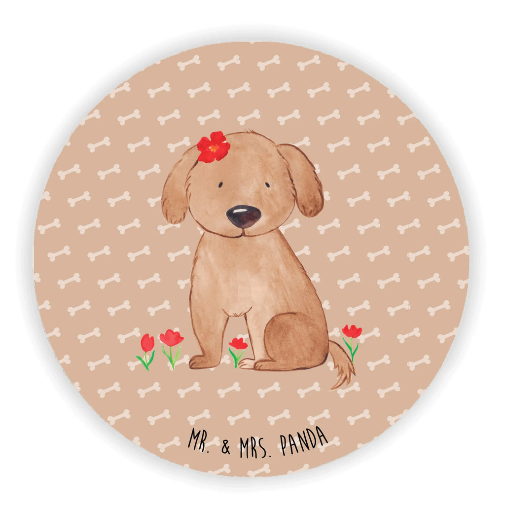 Okrągły magnes pies Dama Kühlschrankmagnet, rundmagnet, magnete, kühlschrankmagnete, Sprüche, Hunderasse, Hundebesitzer, Hund, Hundemotiv, Haustier, Tierliebhaber, Hundeliebe, Hundeglück, Hunde, Frauchen, Liebe