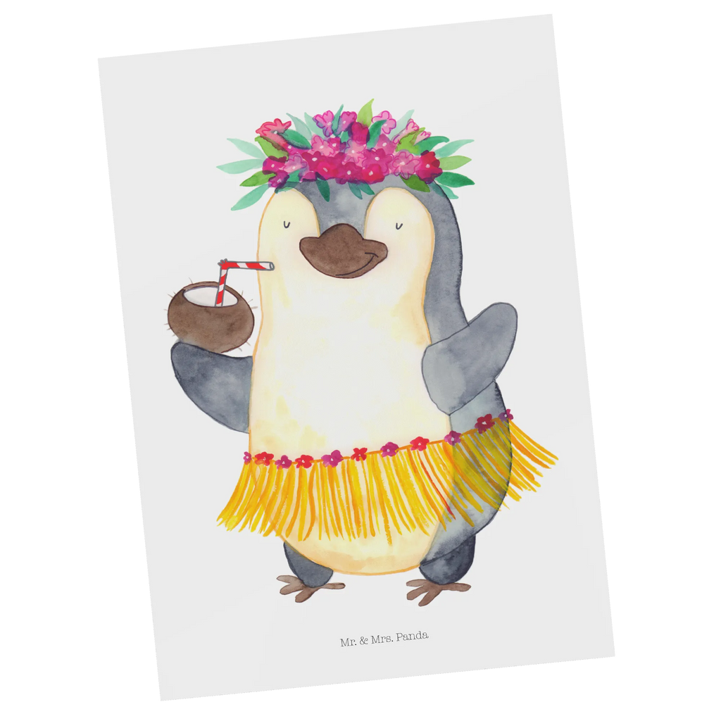 Postcard Penguin coconut North Pole, Penguins, coconut, vacation, penguins