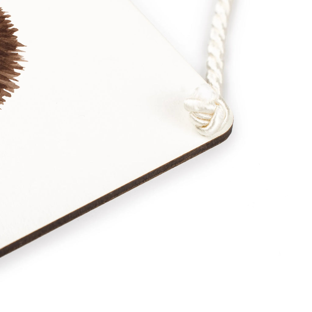 Deko Schild Igel Luftballon Türschild Familie, dekoschilder, hängeschild, Motivschild, Wandschild, Deko Wandtafel, Schild, Holzschild, dekotafel, Spruchschild, Badschild, sprüche schild, Holztafel, dekoration schild, holzbild, Deko Schild, Schild mit Spruch, wandtafel, Türschild, wandhänger, Küchenschild, Dekoschild, Tiere, Tiermotive, Gute Laune, Lustige Sprüche, Ballon, Geburtstag, Herzlichen Glückwunsch, Glückwunsch, Happy Birthday, Geburtstagskind, Igel