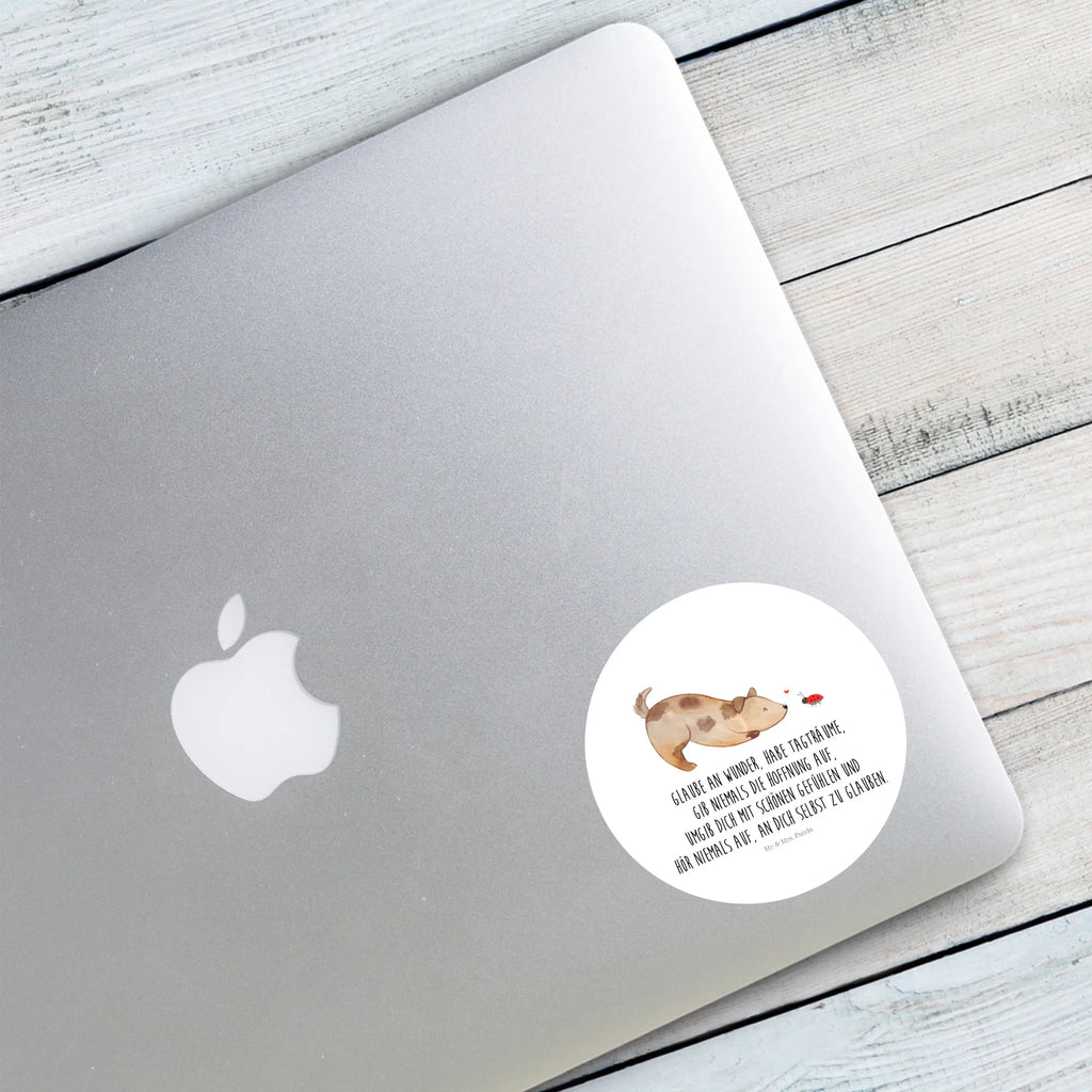 Rund Aufkleber Hund Marienkäfer 40 Mm Runde Hochzeitsaufkleber, Kindergeburtstag, 40 Mm Rundes Label, 40 Mm Runder Aufkleber, 40 Mm Runde Adressaufkleber, 40 Mm Runde Glanzaufkleber, 40 Mm Runde Aufkleberrolle, 40 Mm Runde Öko-Aufkleber, 40 Mm Vinyl-Kreisaufkleber, 40 Mm Rundes Etikett, 40 Mm Blanko Rundaufkleber, 40 Mm Selbstklebender Kreis, 40 Mm Kreisaufkleber, 40 Mm Runde UV-beständige Aufkleber, 40 Mm Runde Dekosticker, 40 Mm Runde Sicherheitsaufkleber, 40 Mm Runde Marmeladenetiketten, 40 Mm Runde Klebefolie, 40 Mm Runde Gewürzetiketten, 40 Mm Runde Pralinenaufkleber, 40 Mm Runde Haftfolie, 40 Mm Runde Siegelaufkleber, 40 Mm Runde Etiketten, 40 Mm Runde Mattaufkleber, 40 Mm Papier-Kreisaufkleber, 40 Mm Runde Wasserfeste Sticker, 40 Mm Runde Kinderaufkleber, 40 Mm Bedruckbarer Rundsticker, 40 Mm Runde Klebepunkte, 40 Mm Kork-Kreisuntersetzer, 40 Mm Runde Versandaufkleber, 40 Mm Runde Stickerfolie, 40 Mm Runde Produktaufkleber, 40 Mm Rundaufkleber, 40 Mm Runde Gastgeschenkaufkleber, 40 Mm Kreisrunder Sticker, 40 Mm Rundes Logo-Etikett, 40 Mm Runde Einladungsetiketten, 40 Mm Runde Transparentsticker, Hundebesitzer, Hunderasse, Hundemotiv, Haustier, Tierliebhaber, Hund, Sprüche, Marienkäfer, Hundespruch, Hunde, Mischlinghund, Mischling