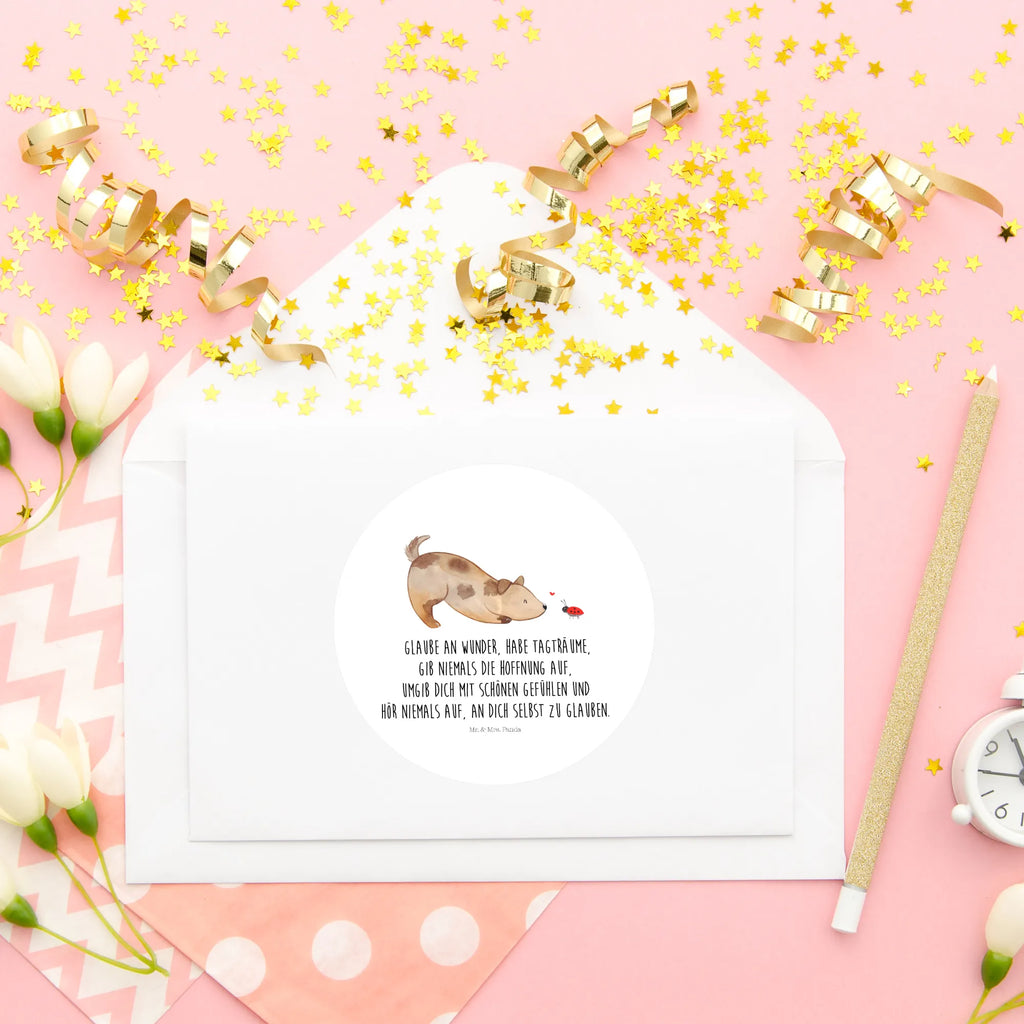 Rund Aufkleber Hund Marienkäfer 40 Mm Runde Hochzeitsaufkleber, Kindergeburtstag, 40 Mm Rundes Label, 40 Mm Runder Aufkleber, 40 Mm Runde Adressaufkleber, 40 Mm Runde Glanzaufkleber, 40 Mm Runde Aufkleberrolle, 40 Mm Runde Öko-Aufkleber, 40 Mm Vinyl-Kreisaufkleber, 40 Mm Rundes Etikett, 40 Mm Blanko Rundaufkleber, 40 Mm Selbstklebender Kreis, 40 Mm Kreisaufkleber, 40 Mm Runde UV-beständige Aufkleber, 40 Mm Runde Dekosticker, 40 Mm Runde Sicherheitsaufkleber, 40 Mm Runde Marmeladenetiketten, 40 Mm Runde Klebefolie, 40 Mm Runde Gewürzetiketten, 40 Mm Runde Pralinenaufkleber, 40 Mm Runde Haftfolie, 40 Mm Runde Siegelaufkleber, 40 Mm Runde Etiketten, 40 Mm Runde Mattaufkleber, 40 Mm Papier-Kreisaufkleber, 40 Mm Runde Wasserfeste Sticker, 40 Mm Runde Kinderaufkleber, 40 Mm Bedruckbarer Rundsticker, 40 Mm Runde Klebepunkte, 40 Mm Kork-Kreisuntersetzer, 40 Mm Runde Versandaufkleber, 40 Mm Runde Stickerfolie, 40 Mm Runde Produktaufkleber, 40 Mm Rundaufkleber, 40 Mm Runde Gastgeschenkaufkleber, 40 Mm Kreisrunder Sticker, 40 Mm Rundes Logo-Etikett, 40 Mm Runde Einladungsetiketten, 40 Mm Runde Transparentsticker, Hundebesitzer, Hunderasse, Hundemotiv, Haustier, Tierliebhaber, Hund, Sprüche, Marienkäfer, Hundespruch, Hunde, Mischlinghund, Mischling