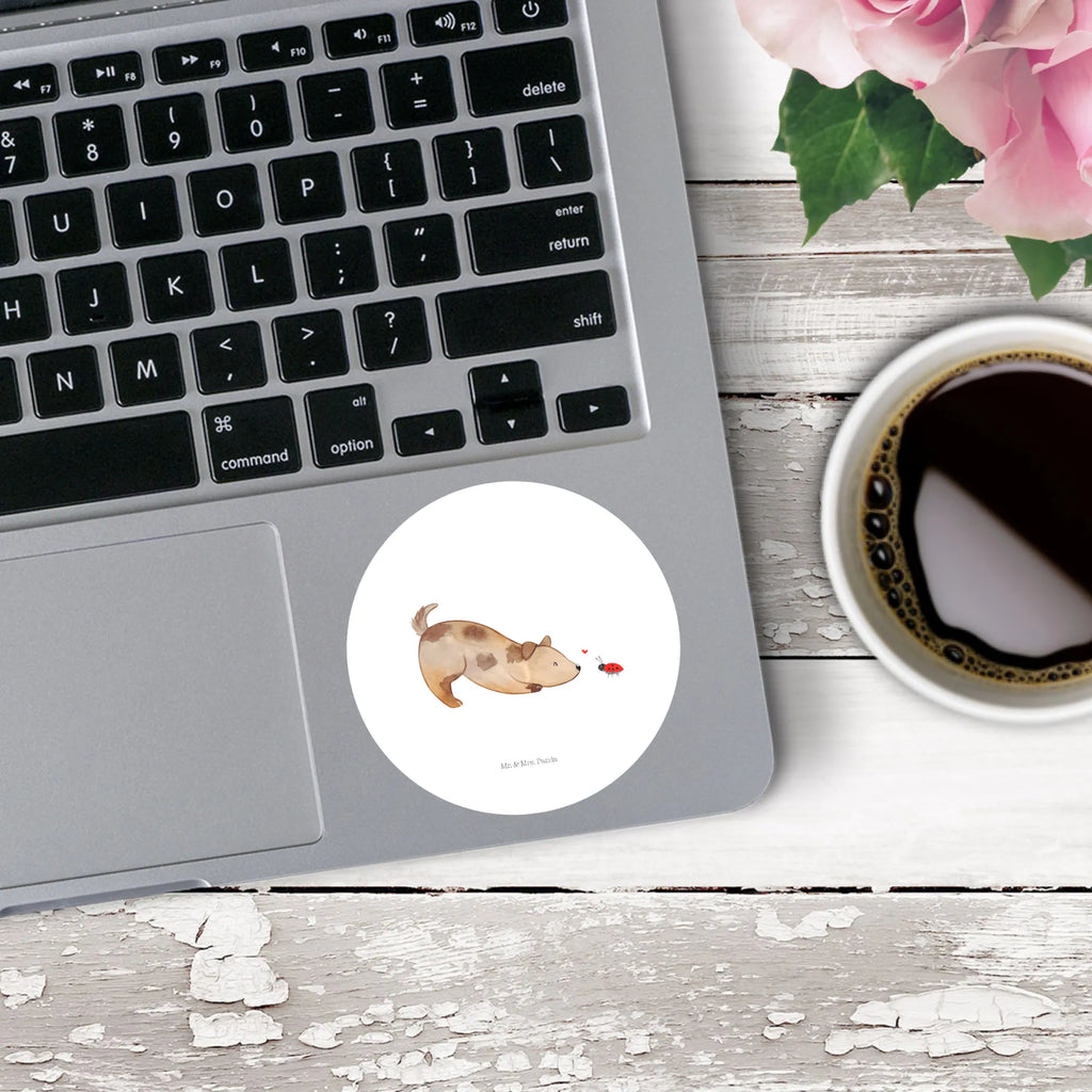 Rund Aufkleber Hund Marienkäfer 40 Mm Runde Hochzeitsaufkleber, Kindergeburtstag, 40 Mm Rundes Label, 40 Mm Runder Aufkleber, 40 Mm Runde Adressaufkleber, 40 Mm Runde Glanzaufkleber, 40 Mm Runde Aufkleberrolle, 40 Mm Runde Öko-Aufkleber, 40 Mm Vinyl-Kreisaufkleber, 40 Mm Rundes Etikett, 40 Mm Blanko Rundaufkleber, 40 Mm Selbstklebender Kreis, 40 Mm Kreisaufkleber, 40 Mm Runde UV-beständige Aufkleber, 40 Mm Runde Dekosticker, 40 Mm Runde Sicherheitsaufkleber, 40 Mm Runde Marmeladenetiketten, 40 Mm Runde Klebefolie, 40 Mm Runde Gewürzetiketten, 40 Mm Runde Pralinenaufkleber, 40 Mm Runde Haftfolie, 40 Mm Runde Siegelaufkleber, 40 Mm Runde Etiketten, 40 Mm Runde Mattaufkleber, 40 Mm Papier-Kreisaufkleber, 40 Mm Runde Wasserfeste Sticker, 40 Mm Runde Kinderaufkleber, 40 Mm Bedruckbarer Rundsticker, 40 Mm Runde Klebepunkte, 40 Mm Kork-Kreisuntersetzer, 40 Mm Runde Versandaufkleber, 40 Mm Runde Stickerfolie, 40 Mm Runde Produktaufkleber, 40 Mm Rundaufkleber, 40 Mm Runde Gastgeschenkaufkleber, 40 Mm Kreisrunder Sticker, 40 Mm Rundes Logo-Etikett, 40 Mm Runde Einladungsetiketten, 40 Mm Runde Transparentsticker, Hundebesitzer, Hunderasse, Hundemotiv, Haustier, Tierliebhaber, Hund, Sprüche, Marienkäfer, Hundespruch, Hunde, Mischlinghund, Mischling