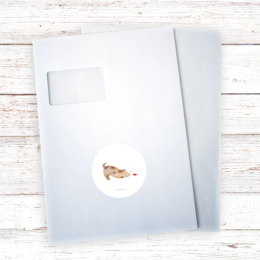 Rund Aufkleber Hund Marienkäfer 40 Mm Runde Hochzeitsaufkleber, Kindergeburtstag, 40 Mm Rundes Label, 40 Mm Runder Aufkleber, 40 Mm Runde Adressaufkleber, 40 Mm Runde Glanzaufkleber, 40 Mm Runde Aufkleberrolle, 40 Mm Runde Öko-Aufkleber, 40 Mm Vinyl-Kreisaufkleber, 40 Mm Rundes Etikett, 40 Mm Blanko Rundaufkleber, 40 Mm Selbstklebender Kreis, 40 Mm Kreisaufkleber, 40 Mm Runde UV-beständige Aufkleber, 40 Mm Runde Dekosticker, 40 Mm Runde Sicherheitsaufkleber, 40 Mm Runde Marmeladenetiketten, 40 Mm Runde Klebefolie, 40 Mm Runde Gewürzetiketten, 40 Mm Runde Pralinenaufkleber, 40 Mm Runde Haftfolie, 40 Mm Runde Siegelaufkleber, 40 Mm Runde Etiketten, 40 Mm Runde Mattaufkleber, 40 Mm Papier-Kreisaufkleber, 40 Mm Runde Wasserfeste Sticker, 40 Mm Runde Kinderaufkleber, 40 Mm Bedruckbarer Rundsticker, 40 Mm Runde Klebepunkte, 40 Mm Kork-Kreisuntersetzer, 40 Mm Runde Versandaufkleber, 40 Mm Runde Stickerfolie, 40 Mm Runde Produktaufkleber, 40 Mm Rundaufkleber, 40 Mm Runde Gastgeschenkaufkleber, 40 Mm Kreisrunder Sticker, 40 Mm Rundes Logo-Etikett, 40 Mm Runde Einladungsetiketten, 40 Mm Runde Transparentsticker, Hundebesitzer, Hunderasse, Hundemotiv, Haustier, Tierliebhaber, Hund, Sprüche, Marienkäfer, Hundespruch, Hunde, Mischlinghund, Mischling