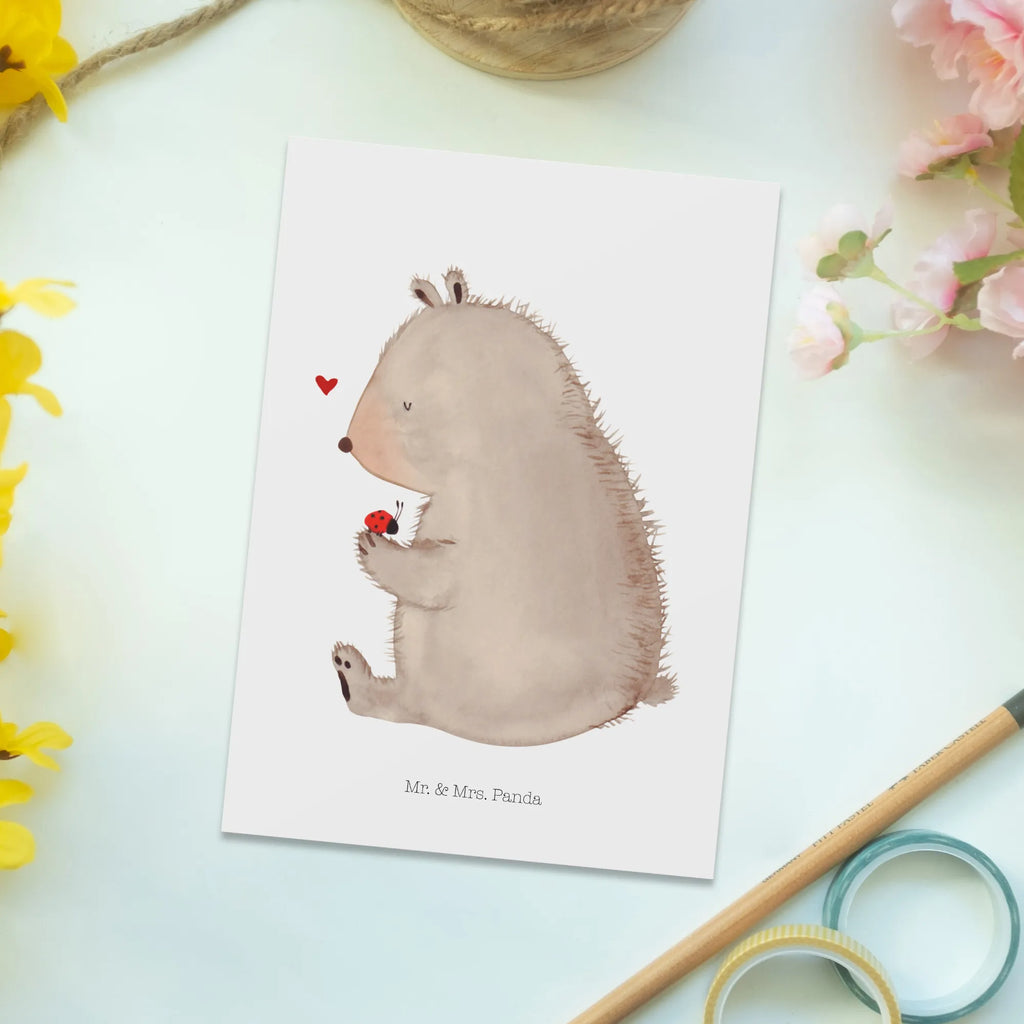 Postcard bear ladybug card, postcards, Postcard, gift, invitation, invitation card, letter, paper, gift card, bear, teddy, teddy bear, cuddly toy, motivation, ladybird, life is beautiful, freedom, love