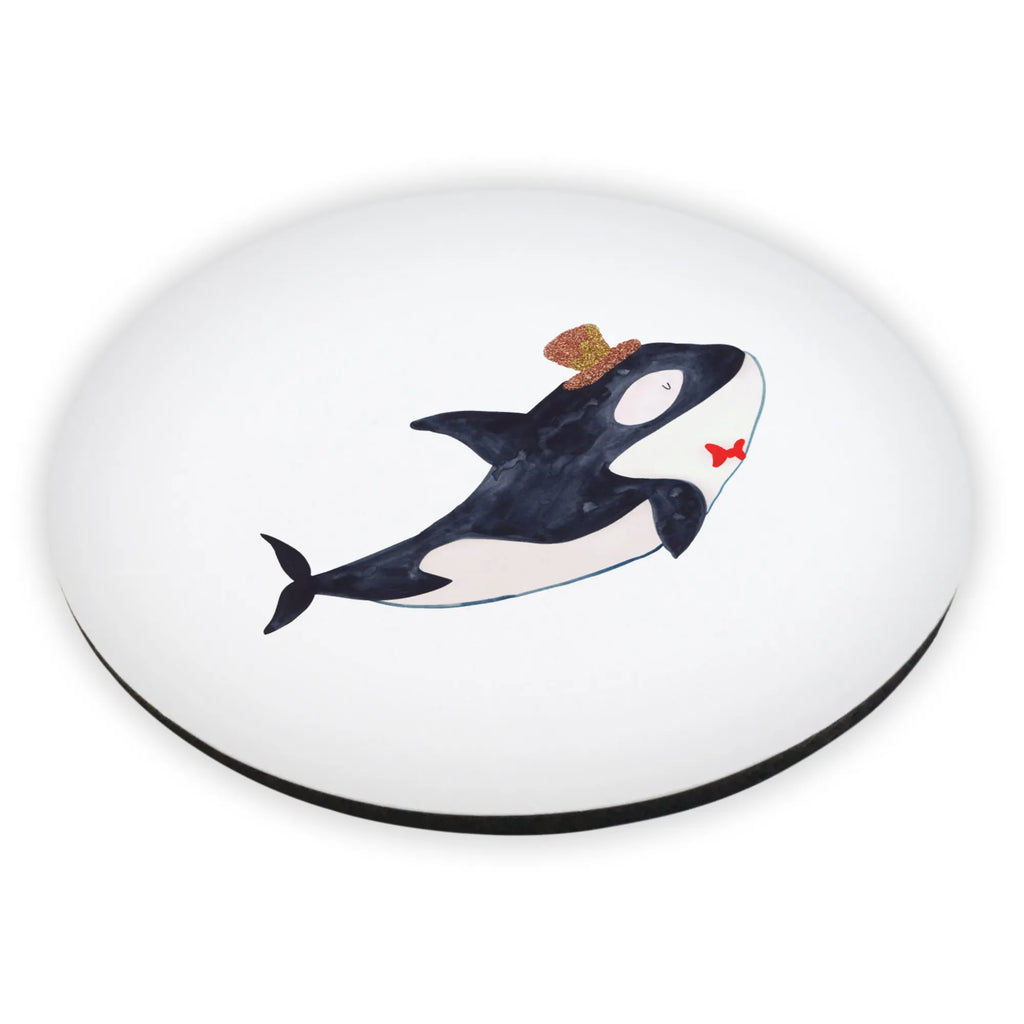 Round magnet orca cylinder calendar magnet, refrigerator magnets, refrigerator magnet, magnet, office magnet, magnetic board, Seafood, aquatic animals, ocean, sea, fish, shells, corals, reef, whale, narwhal, sea urchin, lobster, platypus, turtle, manatee, crocodile, orca, shrimp, gifts for seafood lovers, water world, underwater animals, underwater world, vacation, deep sea, seafood fans, gift ideas, seafood decoration, seafood posters, party, glitter, congratulations, celebration, confetti, birthday, feast