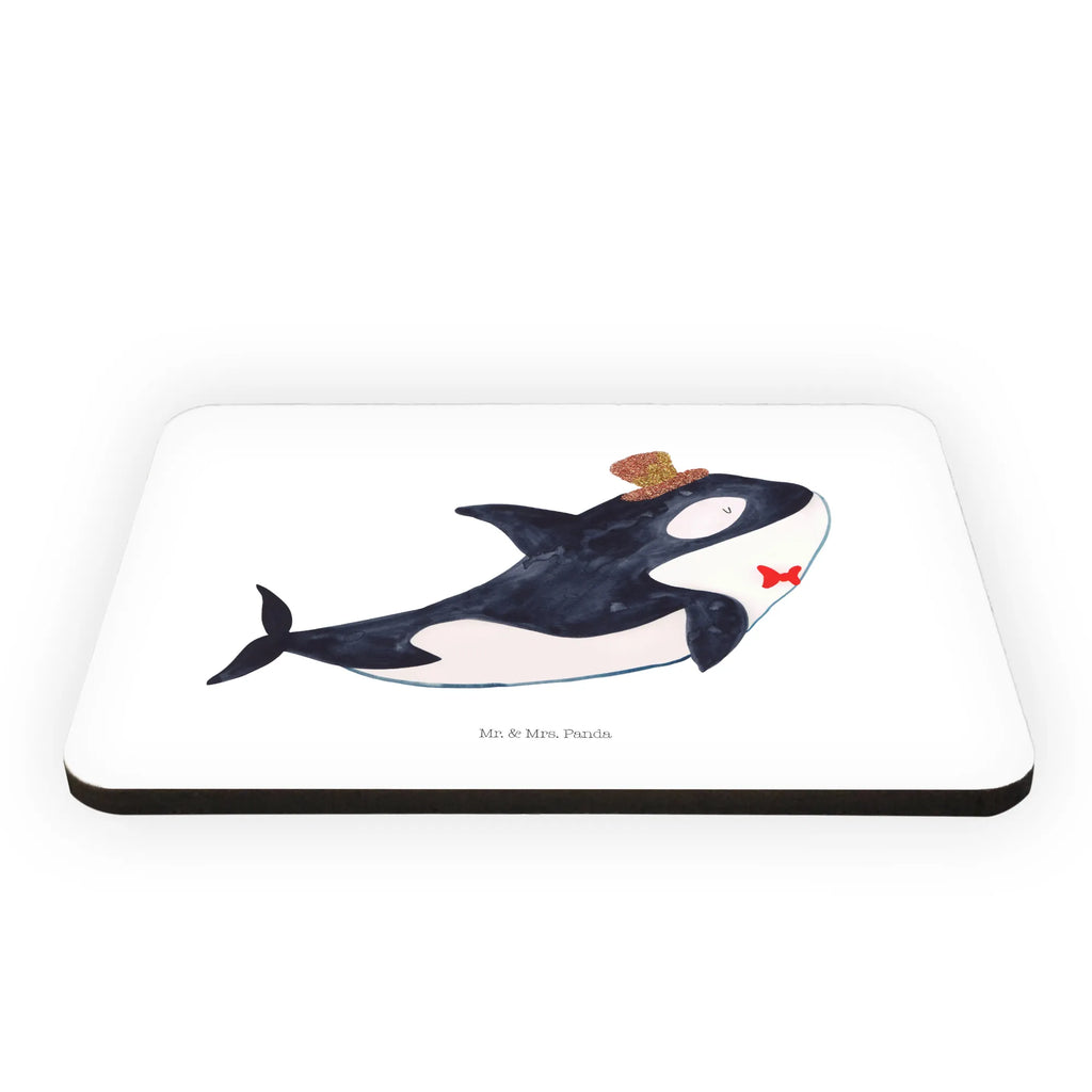 Magnes Orka cylinder Zwierzeta morskie, Morze, Wakacje