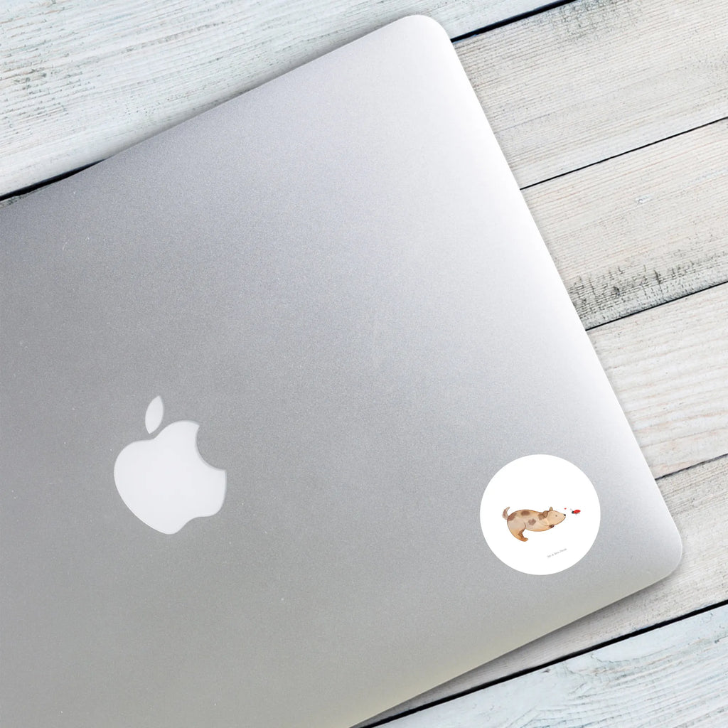 Rund Aufkleber Hund Marienkäfer 40 Mm Runde Hochzeitsaufkleber, Kindergeburtstag, 40 Mm Rundes Label, 40 Mm Runder Aufkleber, 40 Mm Runde Adressaufkleber, 40 Mm Runde Glanzaufkleber, 40 Mm Runde Aufkleberrolle, 40 Mm Runde Öko-Aufkleber, 40 Mm Vinyl-Kreisaufkleber, 40 Mm Rundes Etikett, 40 Mm Blanko Rundaufkleber, 40 Mm Selbstklebender Kreis, 40 Mm Kreisaufkleber, 40 Mm Runde UV-beständige Aufkleber, 40 Mm Runde Dekosticker, 40 Mm Runde Sicherheitsaufkleber, 40 Mm Runde Marmeladenetiketten, 40 Mm Runde Klebefolie, 40 Mm Runde Gewürzetiketten, 40 Mm Runde Pralinenaufkleber, 40 Mm Runde Haftfolie, 40 Mm Runde Siegelaufkleber, 40 Mm Runde Etiketten, 40 Mm Runde Mattaufkleber, 40 Mm Papier-Kreisaufkleber, 40 Mm Runde Wasserfeste Sticker, 40 Mm Runde Kinderaufkleber, 40 Mm Bedruckbarer Rundsticker, 40 Mm Runde Klebepunkte, 40 Mm Kork-Kreisuntersetzer, 40 Mm Runde Versandaufkleber, 40 Mm Runde Stickerfolie, 40 Mm Runde Produktaufkleber, 40 Mm Rundaufkleber, 40 Mm Runde Gastgeschenkaufkleber, 40 Mm Kreisrunder Sticker, 40 Mm Rundes Logo-Etikett, 40 Mm Runde Einladungsetiketten, 40 Mm Runde Transparentsticker, Hundebesitzer, Hunderasse, Hundemotiv, Haustier, Tierliebhaber, Hund, Sprüche, Marienkäfer, Hundespruch, Hunde, Mischlinghund, Mischling