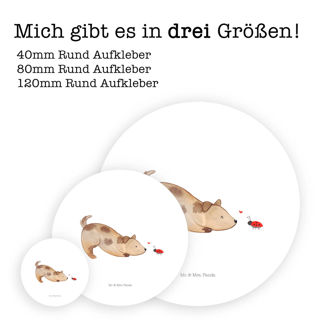 Rund Aufkleber Hund Marienkäfer 40 Mm Runde Hochzeitsaufkleber, Kindergeburtstag, 40 Mm Rundes Label, 40 Mm Runder Aufkleber, 40 Mm Runde Adressaufkleber, 40 Mm Runde Glanzaufkleber, 40 Mm Runde Aufkleberrolle, 40 Mm Runde Öko-Aufkleber, 40 Mm Vinyl-Kreisaufkleber, 40 Mm Rundes Etikett, 40 Mm Blanko Rundaufkleber, 40 Mm Selbstklebender Kreis, 40 Mm Kreisaufkleber, 40 Mm Runde UV-beständige Aufkleber, 40 Mm Runde Dekosticker, 40 Mm Runde Sicherheitsaufkleber, 40 Mm Runde Marmeladenetiketten, 40 Mm Runde Klebefolie, 40 Mm Runde Gewürzetiketten, 40 Mm Runde Pralinenaufkleber, 40 Mm Runde Haftfolie, 40 Mm Runde Siegelaufkleber, 40 Mm Runde Etiketten, 40 Mm Runde Mattaufkleber, 40 Mm Papier-Kreisaufkleber, 40 Mm Runde Wasserfeste Sticker, 40 Mm Runde Kinderaufkleber, 40 Mm Bedruckbarer Rundsticker, 40 Mm Runde Klebepunkte, 40 Mm Kork-Kreisuntersetzer, 40 Mm Runde Versandaufkleber, 40 Mm Runde Stickerfolie, 40 Mm Runde Produktaufkleber, 40 Mm Rundaufkleber, 40 Mm Runde Gastgeschenkaufkleber, 40 Mm Kreisrunder Sticker, 40 Mm Rundes Logo-Etikett, 40 Mm Runde Einladungsetiketten, 40 Mm Runde Transparentsticker, Hundebesitzer, Hunderasse, Hundemotiv, Haustier, Tierliebhaber, Hund, Sprüche, Marienkäfer, Hundespruch, Hunde, Mischlinghund, Mischling