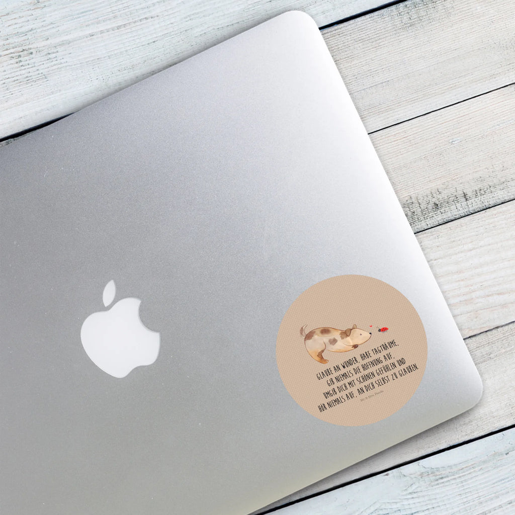 Rund Aufkleber Hund Marienkäfer 40 Mm Runde Hochzeitsaufkleber, Kindergeburtstag, 40 Mm Rundes Label, 40 Mm Runder Aufkleber, 40 Mm Runde Adressaufkleber, 40 Mm Runde Glanzaufkleber, 40 Mm Runde Aufkleberrolle, 40 Mm Runde Öko-Aufkleber, 40 Mm Vinyl-Kreisaufkleber, 40 Mm Rundes Etikett, 40 Mm Blanko Rundaufkleber, 40 Mm Selbstklebender Kreis, 40 Mm Kreisaufkleber, 40 Mm Runde UV-beständige Aufkleber, 40 Mm Runde Dekosticker, 40 Mm Runde Sicherheitsaufkleber, 40 Mm Runde Marmeladenetiketten, 40 Mm Runde Klebefolie, 40 Mm Runde Gewürzetiketten, 40 Mm Runde Pralinenaufkleber, 40 Mm Runde Haftfolie, 40 Mm Runde Siegelaufkleber, 40 Mm Runde Etiketten, 40 Mm Runde Mattaufkleber, 40 Mm Papier-Kreisaufkleber, 40 Mm Runde Wasserfeste Sticker, 40 Mm Runde Kinderaufkleber, 40 Mm Bedruckbarer Rundsticker, 40 Mm Runde Klebepunkte, 40 Mm Kork-Kreisuntersetzer, 40 Mm Runde Versandaufkleber, 40 Mm Runde Stickerfolie, 40 Mm Runde Produktaufkleber, 40 Mm Rundaufkleber, 40 Mm Runde Gastgeschenkaufkleber, 40 Mm Kreisrunder Sticker, 40 Mm Rundes Logo-Etikett, 40 Mm Runde Einladungsetiketten, 40 Mm Runde Transparentsticker, Hundebesitzer, Hunderasse, Hundemotiv, Haustier, Tierliebhaber, Hund, Sprüche, Marienkäfer, Hundespruch, Hunde, Mischlinghund, Mischling