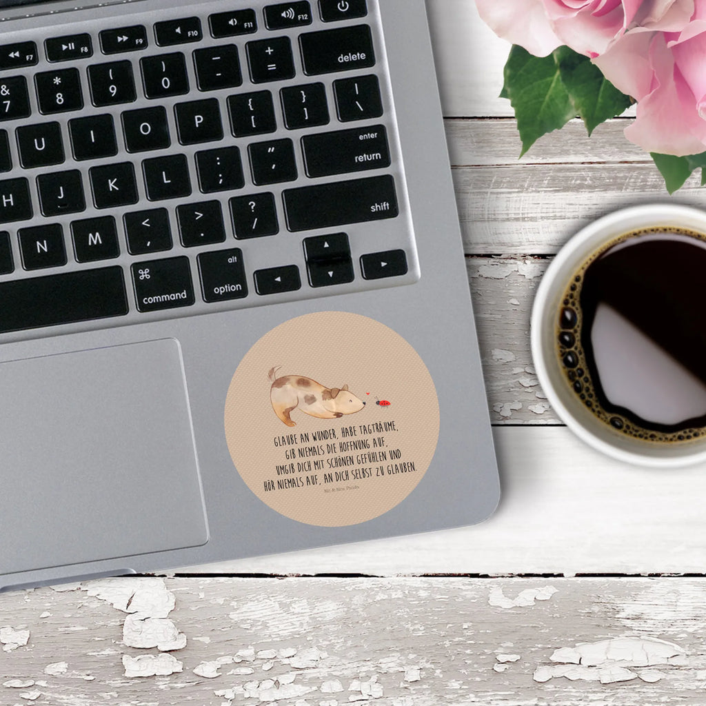 Rund Aufkleber Hund Marienkäfer 40 Mm Runde Hochzeitsaufkleber, Kindergeburtstag, 40 Mm Rundes Label, 40 Mm Runder Aufkleber, 40 Mm Runde Adressaufkleber, 40 Mm Runde Glanzaufkleber, 40 Mm Runde Aufkleberrolle, 40 Mm Runde Öko-Aufkleber, 40 Mm Vinyl-Kreisaufkleber, 40 Mm Rundes Etikett, 40 Mm Blanko Rundaufkleber, 40 Mm Selbstklebender Kreis, 40 Mm Kreisaufkleber, 40 Mm Runde UV-beständige Aufkleber, 40 Mm Runde Dekosticker, 40 Mm Runde Sicherheitsaufkleber, 40 Mm Runde Marmeladenetiketten, 40 Mm Runde Klebefolie, 40 Mm Runde Gewürzetiketten, 40 Mm Runde Pralinenaufkleber, 40 Mm Runde Haftfolie, 40 Mm Runde Siegelaufkleber, 40 Mm Runde Etiketten, 40 Mm Runde Mattaufkleber, 40 Mm Papier-Kreisaufkleber, 40 Mm Runde Wasserfeste Sticker, 40 Mm Runde Kinderaufkleber, 40 Mm Bedruckbarer Rundsticker, 40 Mm Runde Klebepunkte, 40 Mm Kork-Kreisuntersetzer, 40 Mm Runde Versandaufkleber, 40 Mm Runde Stickerfolie, 40 Mm Runde Produktaufkleber, 40 Mm Rundaufkleber, 40 Mm Runde Gastgeschenkaufkleber, 40 Mm Kreisrunder Sticker, 40 Mm Rundes Logo-Etikett, 40 Mm Runde Einladungsetiketten, 40 Mm Runde Transparentsticker, Hundebesitzer, Hunderasse, Hundemotiv, Haustier, Tierliebhaber, Hund, Sprüche, Marienkäfer, Hundespruch, Hunde, Mischlinghund, Mischling