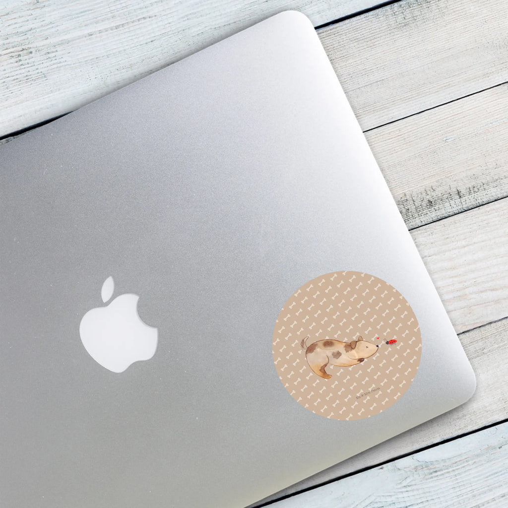 Rund Aufkleber Hund Marienkäfer 40 Mm Runde Hochzeitsaufkleber, Kindergeburtstag, 40 Mm Rundes Label, 40 Mm Runder Aufkleber, 40 Mm Runde Adressaufkleber, 40 Mm Runde Glanzaufkleber, 40 Mm Runde Aufkleberrolle, 40 Mm Runde Öko-Aufkleber, 40 Mm Vinyl-Kreisaufkleber, 40 Mm Rundes Etikett, 40 Mm Blanko Rundaufkleber, 40 Mm Selbstklebender Kreis, 40 Mm Kreisaufkleber, 40 Mm Runde UV-beständige Aufkleber, 40 Mm Runde Dekosticker, 40 Mm Runde Sicherheitsaufkleber, 40 Mm Runde Marmeladenetiketten, 40 Mm Runde Klebefolie, 40 Mm Runde Gewürzetiketten, 40 Mm Runde Pralinenaufkleber, 40 Mm Runde Haftfolie, 40 Mm Runde Siegelaufkleber, 40 Mm Runde Etiketten, 40 Mm Runde Mattaufkleber, 40 Mm Papier-Kreisaufkleber, 40 Mm Runde Wasserfeste Sticker, 40 Mm Runde Kinderaufkleber, 40 Mm Bedruckbarer Rundsticker, 40 Mm Runde Klebepunkte, 40 Mm Kork-Kreisuntersetzer, 40 Mm Runde Versandaufkleber, 40 Mm Runde Stickerfolie, 40 Mm Runde Produktaufkleber, 40 Mm Rundaufkleber, 40 Mm Runde Gastgeschenkaufkleber, 40 Mm Kreisrunder Sticker, 40 Mm Rundes Logo-Etikett, 40 Mm Runde Einladungsetiketten, 40 Mm Runde Transparentsticker, Hundebesitzer, Hunderasse, Hundemotiv, Haustier, Tierliebhaber, Hund, Sprüche, Marienkäfer, Hundespruch, Hunde, Mischlinghund, Mischling