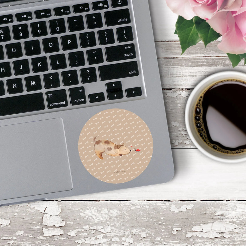 Rund Aufkleber Hund Marienkäfer 40 Mm Runde Hochzeitsaufkleber, Kindergeburtstag, 40 Mm Rundes Label, 40 Mm Runder Aufkleber, 40 Mm Runde Adressaufkleber, 40 Mm Runde Glanzaufkleber, 40 Mm Runde Aufkleberrolle, 40 Mm Runde Öko-Aufkleber, 40 Mm Vinyl-Kreisaufkleber, 40 Mm Rundes Etikett, 40 Mm Blanko Rundaufkleber, 40 Mm Selbstklebender Kreis, 40 Mm Kreisaufkleber, 40 Mm Runde UV-beständige Aufkleber, 40 Mm Runde Dekosticker, 40 Mm Runde Sicherheitsaufkleber, 40 Mm Runde Marmeladenetiketten, 40 Mm Runde Klebefolie, 40 Mm Runde Gewürzetiketten, 40 Mm Runde Pralinenaufkleber, 40 Mm Runde Haftfolie, 40 Mm Runde Siegelaufkleber, 40 Mm Runde Etiketten, 40 Mm Runde Mattaufkleber, 40 Mm Papier-Kreisaufkleber, 40 Mm Runde Wasserfeste Sticker, 40 Mm Runde Kinderaufkleber, 40 Mm Bedruckbarer Rundsticker, 40 Mm Runde Klebepunkte, 40 Mm Kork-Kreisuntersetzer, 40 Mm Runde Versandaufkleber, 40 Mm Runde Stickerfolie, 40 Mm Runde Produktaufkleber, 40 Mm Rundaufkleber, 40 Mm Runde Gastgeschenkaufkleber, 40 Mm Kreisrunder Sticker, 40 Mm Rundes Logo-Etikett, 40 Mm Runde Einladungsetiketten, 40 Mm Runde Transparentsticker, Hundebesitzer, Hunderasse, Hundemotiv, Haustier, Tierliebhaber, Hund, Sprüche, Marienkäfer, Hundespruch, Hunde, Mischlinghund, Mischling