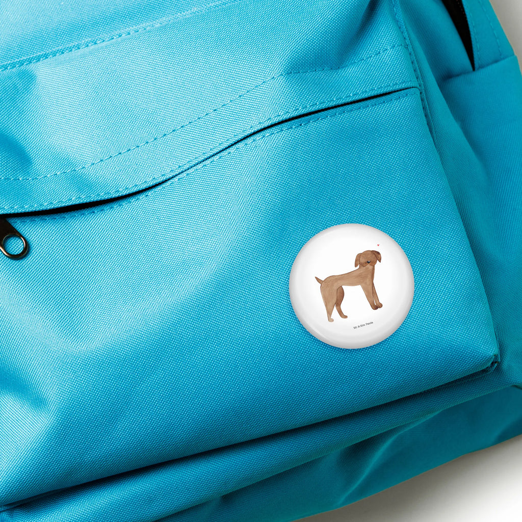 Button Hund Dogge Pin-Button 50 mm, Marketingbutton 50 mm, Button-Emblem 50 mm, Button-Sonderedition 50 mm, Button-Edition 50 mm, Button 50 mm, Runde Buttons 50 mm, Vereinsbutton 50 mm, Button Abzeichen 50 mm, Festivalbutton 50 mm, Button-Logo 50 mm, Button-Design 50 mm, Button-Presse 50 mm, Button-Set 50 mm, Sammlerbutton 50 mm, Werbebutton 50 mm, Eventbutton 50 mm, Pin 50 mm, Button-Sujet 50 mm, Button-Badge 50 mm, Ansteckbutton 50 mm, Button-Button 50 mm, Badge 50 mm, Button-Motiv 50 mm, Button-Kollektion 50 mm, Button-Druck 50 mm, Button-Lieferung 50 mm, Button-Anstecker 50 mm, Button-Pin 50 mm, Hund, Hundemotiv, Haustier, Hunderasse, Tierliebhaber, Hundebesitzer, Sprüche, Great Dane, Dogge, Deutsche Dogge, Hunde