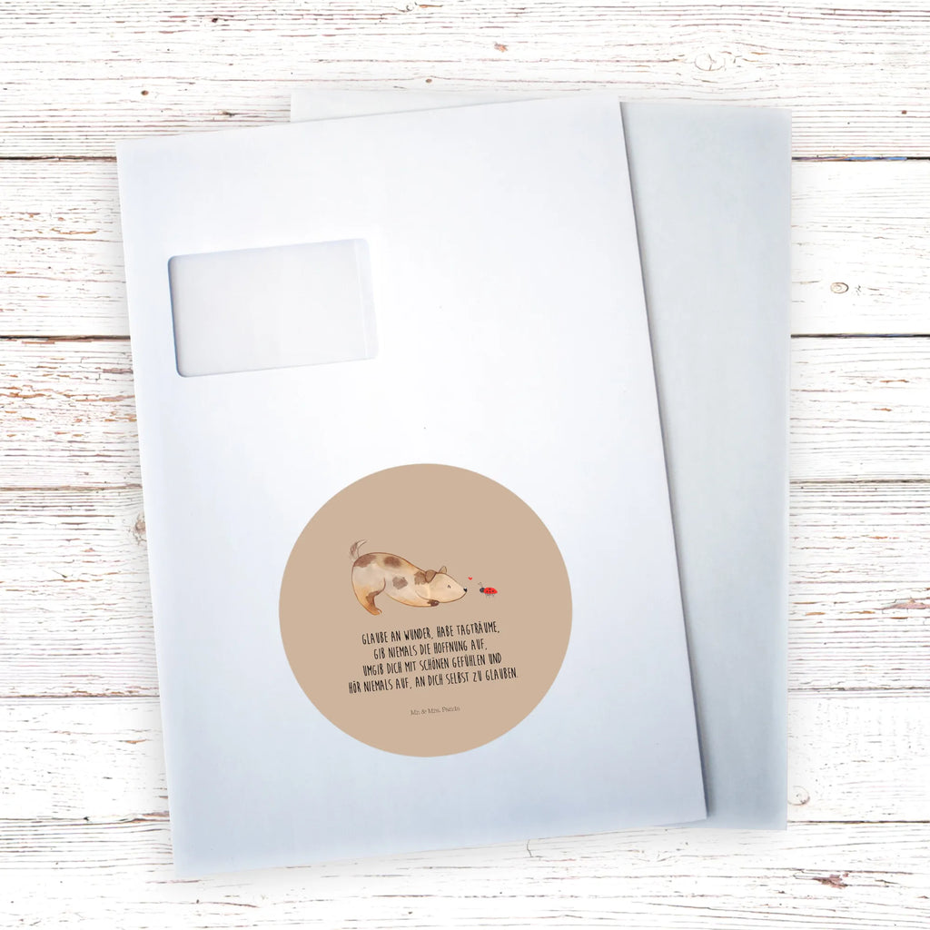 Rund Aufkleber Hund Marienkäfer 40 Mm Runde Hochzeitsaufkleber, Kindergeburtstag, 40 Mm Rundes Label, 40 Mm Runder Aufkleber, 40 Mm Runde Adressaufkleber, 40 Mm Runde Glanzaufkleber, 40 Mm Runde Aufkleberrolle, 40 Mm Runde Öko-Aufkleber, 40 Mm Vinyl-Kreisaufkleber, 40 Mm Rundes Etikett, 40 Mm Blanko Rundaufkleber, 40 Mm Selbstklebender Kreis, 40 Mm Kreisaufkleber, 40 Mm Runde UV-beständige Aufkleber, 40 Mm Runde Dekosticker, 40 Mm Runde Sicherheitsaufkleber, 40 Mm Runde Marmeladenetiketten, 40 Mm Runde Klebefolie, 40 Mm Runde Gewürzetiketten, 40 Mm Runde Pralinenaufkleber, 40 Mm Runde Haftfolie, 40 Mm Runde Siegelaufkleber, 40 Mm Runde Etiketten, 40 Mm Runde Mattaufkleber, 40 Mm Papier-Kreisaufkleber, 40 Mm Runde Wasserfeste Sticker, 40 Mm Runde Kinderaufkleber, 40 Mm Bedruckbarer Rundsticker, 40 Mm Runde Klebepunkte, 40 Mm Kork-Kreisuntersetzer, 40 Mm Runde Versandaufkleber, 40 Mm Runde Stickerfolie, 40 Mm Runde Produktaufkleber, 40 Mm Rundaufkleber, 40 Mm Runde Gastgeschenkaufkleber, 40 Mm Kreisrunder Sticker, 40 Mm Rundes Logo-Etikett, 40 Mm Runde Einladungsetiketten, 40 Mm Runde Transparentsticker, Hundebesitzer, Hunderasse, Hundemotiv, Haustier, Tierliebhaber, Hund, Sprüche, Marienkäfer, Hundespruch, Hunde, Mischlinghund, Mischling