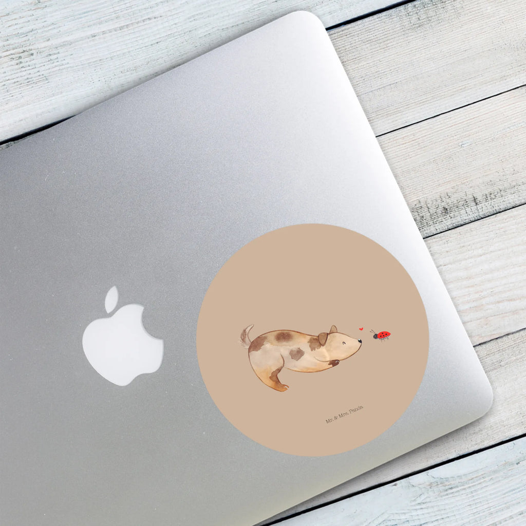 Rund Aufkleber Hund Marienkäfer 40 Mm Runde Hochzeitsaufkleber, Kindergeburtstag, 40 Mm Rundes Label, 40 Mm Runder Aufkleber, 40 Mm Runde Adressaufkleber, 40 Mm Runde Glanzaufkleber, 40 Mm Runde Aufkleberrolle, 40 Mm Runde Öko-Aufkleber, 40 Mm Vinyl-Kreisaufkleber, 40 Mm Rundes Etikett, 40 Mm Blanko Rundaufkleber, 40 Mm Selbstklebender Kreis, 40 Mm Kreisaufkleber, 40 Mm Runde UV-beständige Aufkleber, 40 Mm Runde Dekosticker, 40 Mm Runde Sicherheitsaufkleber, 40 Mm Runde Marmeladenetiketten, 40 Mm Runde Klebefolie, 40 Mm Runde Gewürzetiketten, 40 Mm Runde Pralinenaufkleber, 40 Mm Runde Haftfolie, 40 Mm Runde Siegelaufkleber, 40 Mm Runde Etiketten, 40 Mm Runde Mattaufkleber, 40 Mm Papier-Kreisaufkleber, 40 Mm Runde Wasserfeste Sticker, 40 Mm Runde Kinderaufkleber, 40 Mm Bedruckbarer Rundsticker, 40 Mm Runde Klebepunkte, 40 Mm Kork-Kreisuntersetzer, 40 Mm Runde Versandaufkleber, 40 Mm Runde Stickerfolie, 40 Mm Runde Produktaufkleber, 40 Mm Rundaufkleber, 40 Mm Runde Gastgeschenkaufkleber, 40 Mm Kreisrunder Sticker, 40 Mm Rundes Logo-Etikett, 40 Mm Runde Einladungsetiketten, 40 Mm Runde Transparentsticker, Hundebesitzer, Hunderasse, Hundemotiv, Haustier, Tierliebhaber, Hund, Sprüche, Marienkäfer, Hundespruch, Hunde, Mischlinghund, Mischling