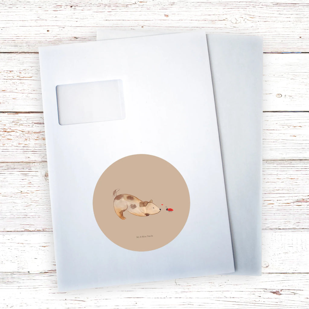 Rund Aufkleber Hund Marienkäfer 40 Mm Runde Hochzeitsaufkleber, Kindergeburtstag, 40 Mm Rundes Label, 40 Mm Runder Aufkleber, 40 Mm Runde Adressaufkleber, 40 Mm Runde Glanzaufkleber, 40 Mm Runde Aufkleberrolle, 40 Mm Runde Öko-Aufkleber, 40 Mm Vinyl-Kreisaufkleber, 40 Mm Rundes Etikett, 40 Mm Blanko Rundaufkleber, 40 Mm Selbstklebender Kreis, 40 Mm Kreisaufkleber, 40 Mm Runde UV-beständige Aufkleber, 40 Mm Runde Dekosticker, 40 Mm Runde Sicherheitsaufkleber, 40 Mm Runde Marmeladenetiketten, 40 Mm Runde Klebefolie, 40 Mm Runde Gewürzetiketten, 40 Mm Runde Pralinenaufkleber, 40 Mm Runde Haftfolie, 40 Mm Runde Siegelaufkleber, 40 Mm Runde Etiketten, 40 Mm Runde Mattaufkleber, 40 Mm Papier-Kreisaufkleber, 40 Mm Runde Wasserfeste Sticker, 40 Mm Runde Kinderaufkleber, 40 Mm Bedruckbarer Rundsticker, 40 Mm Runde Klebepunkte, 40 Mm Kork-Kreisuntersetzer, 40 Mm Runde Versandaufkleber, 40 Mm Runde Stickerfolie, 40 Mm Runde Produktaufkleber, 40 Mm Rundaufkleber, 40 Mm Runde Gastgeschenkaufkleber, 40 Mm Kreisrunder Sticker, 40 Mm Rundes Logo-Etikett, 40 Mm Runde Einladungsetiketten, 40 Mm Runde Transparentsticker, Hundebesitzer, Hunderasse, Hundemotiv, Haustier, Tierliebhaber, Hund, Sprüche, Marienkäfer, Hundespruch, Hunde, Mischlinghund, Mischling