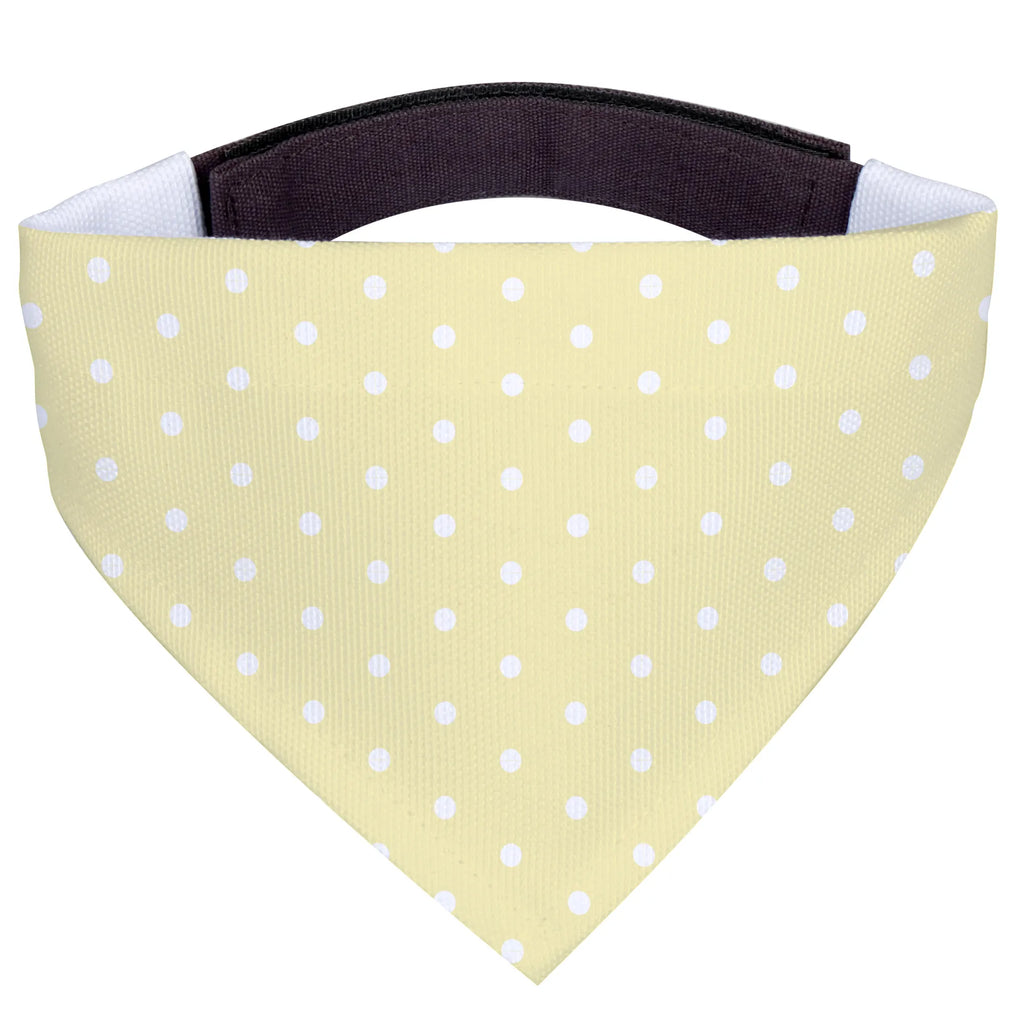 Hundehalstuch Big Band Halstuch, Hunde, Tuch, Mittel, Mittelgroße Hunde, Hundehalstuch, Tiermotive, Lustige Sprüche, Gute Laune, Tiere, Pinguin, Maus, Gitarre, Elefant, Hund, Triangel, Musikanten, Band, Musik, Delfin