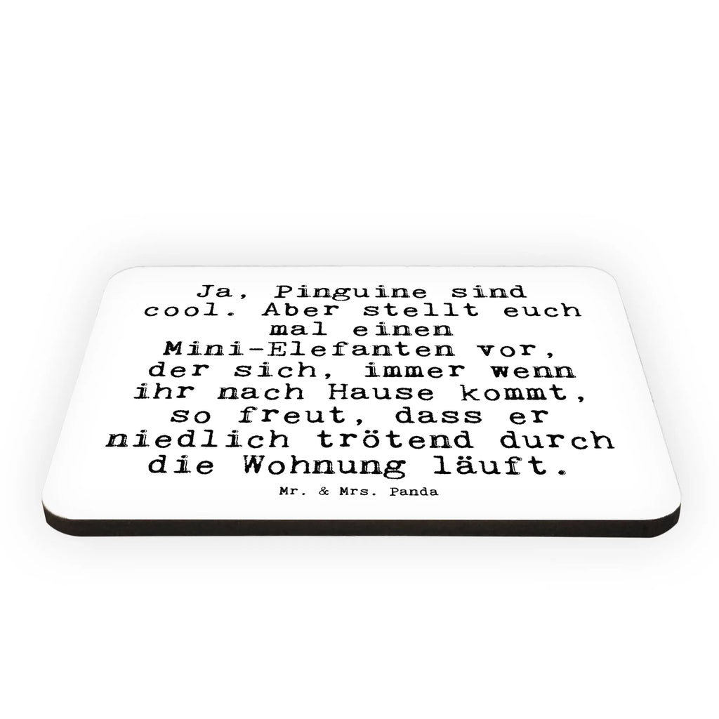 Magnet Ja, Pinguine sind cool.... office magnet, calendar magnet, magnetic board, refrigerator magnets, magnet, refrigerator magnet, saying, sayings, funny, wisdom, quotes, Sayings Proverbs Wisdom Quotes Funny Wisdom Words