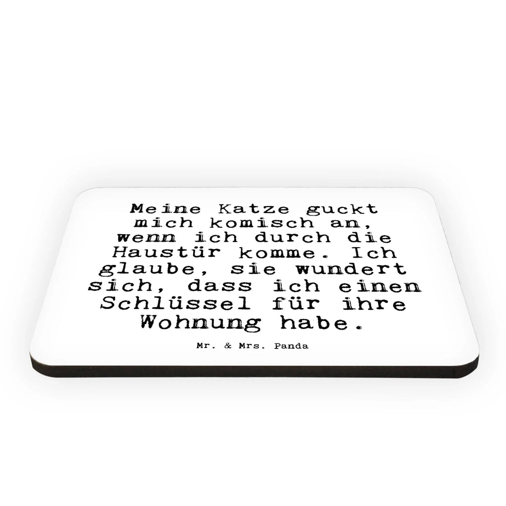 Magnet Meine Katze guckt mich... magnetic board, magnet, refrigerator magnets, refrigerator magnet, calendar magnet, office magnet, saying, sayings, funny, wisdom, quotes, Sayings Proverbs Wisdom Quotes Funny Wisdom Words