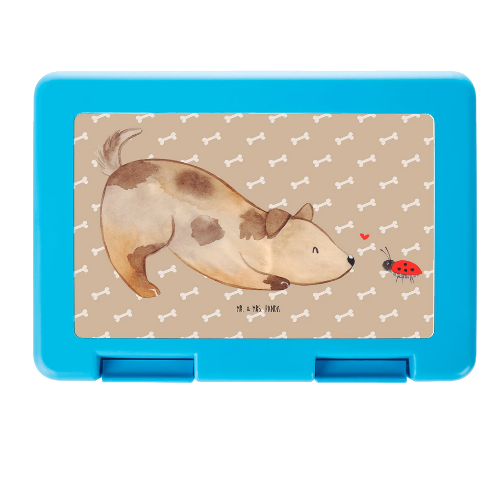 Pudełko na kanapki pies biedronka Brotbehälter, Essensdose, Frischhaltedose, Pausenbrotbox, Brotbüchse, Brotbox, Lunchbehältnis, Snackbox, Aufbewahrungsbox, Butterbrotdose, Jausendose, Snackdose, Pausendose, Vesperbox, Essensbehälter, Mahlzeitendose, Vesperdose, Brotzeitbox, Brotzeitdose, Essensbox, Pausenbox, Jausenbox, Frühstücksdose, Brot Aufbewahrungsbox, Bento Box, Proviantdose, Picknickbox, Lebensmittel Aufbewahrungsbox, Picknickdose, Schulbrotdose, Lunchbehälter, Aufbewahrungsbox essen, Frühstücksbox, Brotdose, Hund, Sprüche, Hundebesitzer, Tierliebhaber, Hundemotiv, Haustier, Hunderasse, Hundespruch, Hunde, Mischling, Mischlinghund, Marienkäfer