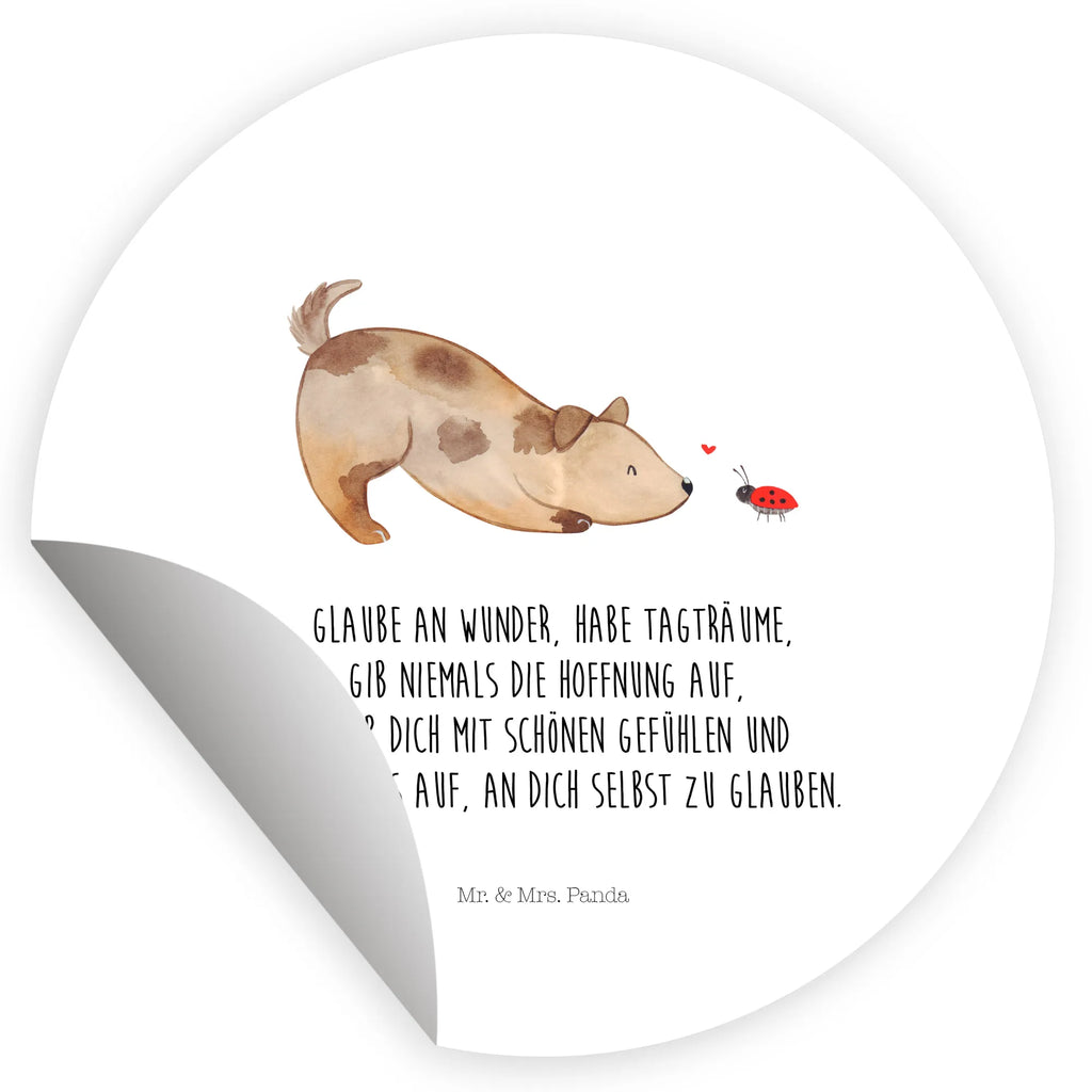 Rund Aufkleber Hund Marienkäfer 40 Mm Runde Hochzeitsaufkleber, Kindergeburtstag, 40 Mm Rundes Label, 40 Mm Runder Aufkleber, 40 Mm Runde Adressaufkleber, 40 Mm Runde Glanzaufkleber, 40 Mm Runde Aufkleberrolle, 40 Mm Runde Öko-Aufkleber, 40 Mm Vinyl-Kreisaufkleber, 40 Mm Rundes Etikett, 40 Mm Blanko Rundaufkleber, 40 Mm Selbstklebender Kreis, 40 Mm Kreisaufkleber, 40 Mm Runde UV-beständige Aufkleber, 40 Mm Runde Dekosticker, 40 Mm Runde Sicherheitsaufkleber, 40 Mm Runde Marmeladenetiketten, 40 Mm Runde Klebefolie, 40 Mm Runde Gewürzetiketten, 40 Mm Runde Pralinenaufkleber, 40 Mm Runde Haftfolie, 40 Mm Runde Siegelaufkleber, 40 Mm Runde Etiketten, 40 Mm Runde Mattaufkleber, 40 Mm Papier-Kreisaufkleber, 40 Mm Runde Wasserfeste Sticker, 40 Mm Runde Kinderaufkleber, 40 Mm Bedruckbarer Rundsticker, 40 Mm Runde Klebepunkte, 40 Mm Kork-Kreisuntersetzer, 40 Mm Runde Versandaufkleber, 40 Mm Runde Stickerfolie, 40 Mm Runde Produktaufkleber, 40 Mm Rundaufkleber, 40 Mm Runde Gastgeschenkaufkleber, 40 Mm Kreisrunder Sticker, 40 Mm Rundes Logo-Etikett, 40 Mm Runde Einladungsetiketten, 40 Mm Runde Transparentsticker, Hundebesitzer, Hunderasse, Hundemotiv, Haustier, Tierliebhaber, Hund, Sprüche, Marienkäfer, Hundespruch, Hunde, Mischlinghund, Mischling