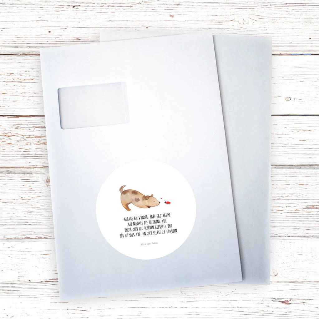 Rund Aufkleber Hund Marienkäfer 40 Mm Runde Hochzeitsaufkleber, Kindergeburtstag, 40 Mm Rundes Label, 40 Mm Runder Aufkleber, 40 Mm Runde Adressaufkleber, 40 Mm Runde Glanzaufkleber, 40 Mm Runde Aufkleberrolle, 40 Mm Runde Öko-Aufkleber, 40 Mm Vinyl-Kreisaufkleber, 40 Mm Rundes Etikett, 40 Mm Blanko Rundaufkleber, 40 Mm Selbstklebender Kreis, 40 Mm Kreisaufkleber, 40 Mm Runde UV-beständige Aufkleber, 40 Mm Runde Dekosticker, 40 Mm Runde Sicherheitsaufkleber, 40 Mm Runde Marmeladenetiketten, 40 Mm Runde Klebefolie, 40 Mm Runde Gewürzetiketten, 40 Mm Runde Pralinenaufkleber, 40 Mm Runde Haftfolie, 40 Mm Runde Siegelaufkleber, 40 Mm Runde Etiketten, 40 Mm Runde Mattaufkleber, 40 Mm Papier-Kreisaufkleber, 40 Mm Runde Wasserfeste Sticker, 40 Mm Runde Kinderaufkleber, 40 Mm Bedruckbarer Rundsticker, 40 Mm Runde Klebepunkte, 40 Mm Kork-Kreisuntersetzer, 40 Mm Runde Versandaufkleber, 40 Mm Runde Stickerfolie, 40 Mm Runde Produktaufkleber, 40 Mm Rundaufkleber, 40 Mm Runde Gastgeschenkaufkleber, 40 Mm Kreisrunder Sticker, 40 Mm Rundes Logo-Etikett, 40 Mm Runde Einladungsetiketten, 40 Mm Runde Transparentsticker, Hundebesitzer, Hunderasse, Hundemotiv, Haustier, Tierliebhaber, Hund, Sprüche, Marienkäfer, Hundespruch, Hunde, Mischlinghund, Mischling