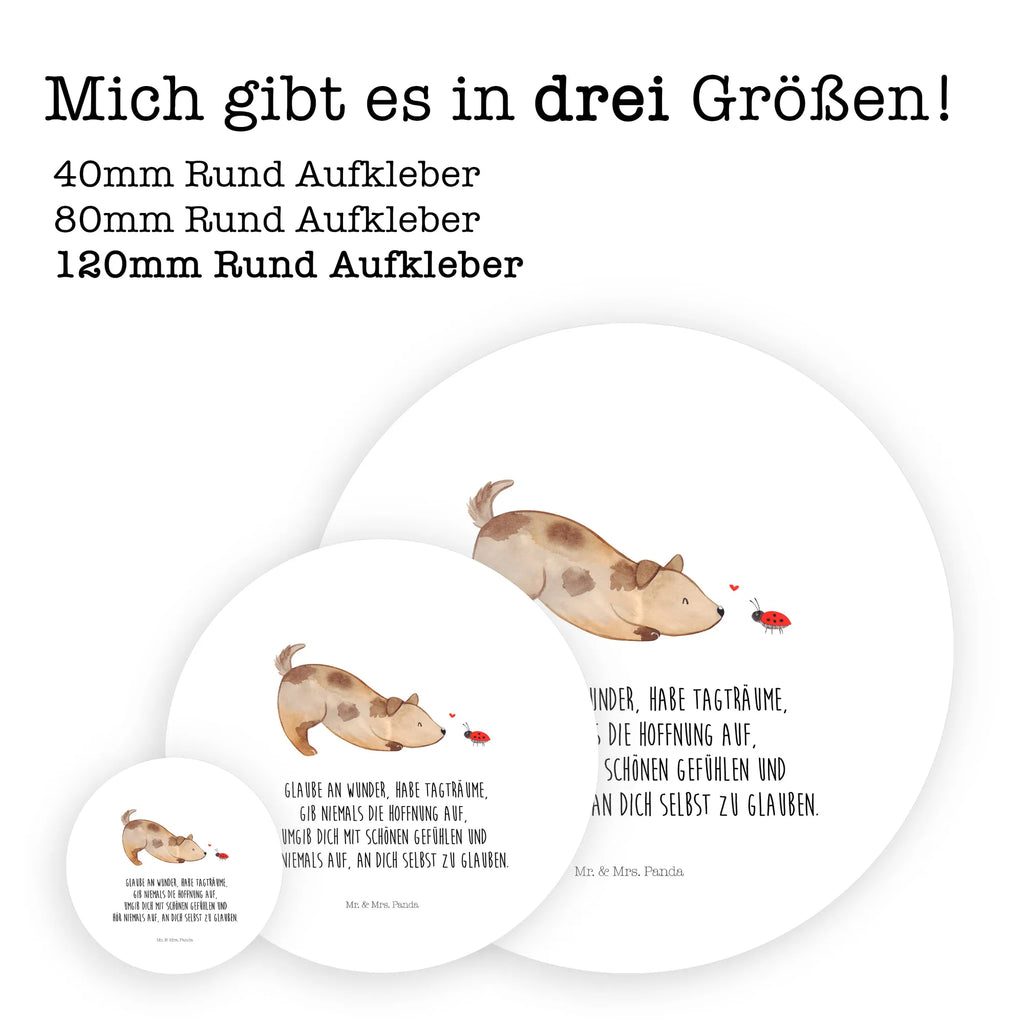 Rund Aufkleber Hund Marienkäfer 40 Mm Runde Hochzeitsaufkleber, Kindergeburtstag, 40 Mm Rundes Label, 40 Mm Runder Aufkleber, 40 Mm Runde Adressaufkleber, 40 Mm Runde Glanzaufkleber, 40 Mm Runde Aufkleberrolle, 40 Mm Runde Öko-Aufkleber, 40 Mm Vinyl-Kreisaufkleber, 40 Mm Rundes Etikett, 40 Mm Blanko Rundaufkleber, 40 Mm Selbstklebender Kreis, 40 Mm Kreisaufkleber, 40 Mm Runde UV-beständige Aufkleber, 40 Mm Runde Dekosticker, 40 Mm Runde Sicherheitsaufkleber, 40 Mm Runde Marmeladenetiketten, 40 Mm Runde Klebefolie, 40 Mm Runde Gewürzetiketten, 40 Mm Runde Pralinenaufkleber, 40 Mm Runde Haftfolie, 40 Mm Runde Siegelaufkleber, 40 Mm Runde Etiketten, 40 Mm Runde Mattaufkleber, 40 Mm Papier-Kreisaufkleber, 40 Mm Runde Wasserfeste Sticker, 40 Mm Runde Kinderaufkleber, 40 Mm Bedruckbarer Rundsticker, 40 Mm Runde Klebepunkte, 40 Mm Kork-Kreisuntersetzer, 40 Mm Runde Versandaufkleber, 40 Mm Runde Stickerfolie, 40 Mm Runde Produktaufkleber, 40 Mm Rundaufkleber, 40 Mm Runde Gastgeschenkaufkleber, 40 Mm Kreisrunder Sticker, 40 Mm Rundes Logo-Etikett, 40 Mm Runde Einladungsetiketten, 40 Mm Runde Transparentsticker, Hundebesitzer, Hunderasse, Hundemotiv, Haustier, Tierliebhaber, Hund, Sprüche, Marienkäfer, Hundespruch, Hunde, Mischlinghund, Mischling