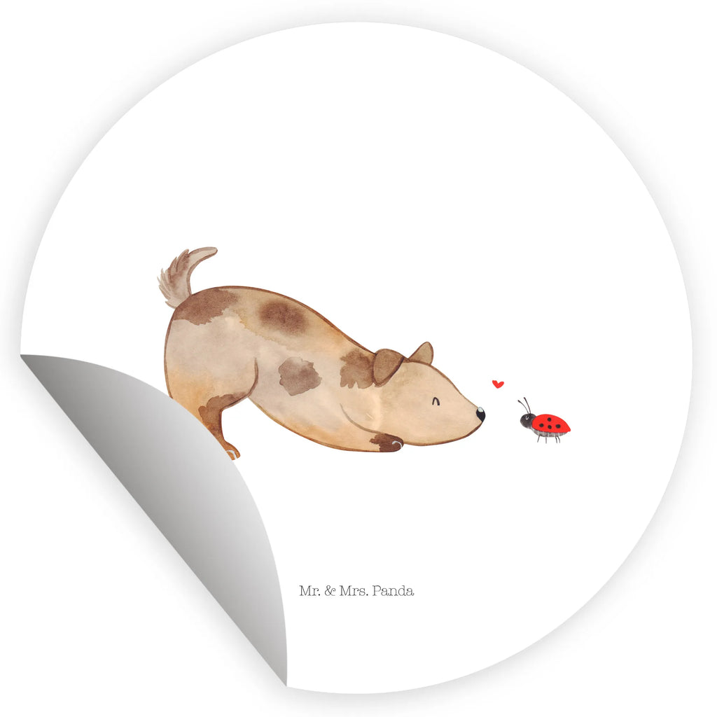 Rund Aufkleber Hund Marienkäfer 40 Mm Runde Hochzeitsaufkleber, Kindergeburtstag, 40 Mm Rundes Label, 40 Mm Runder Aufkleber, 40 Mm Runde Adressaufkleber, 40 Mm Runde Glanzaufkleber, 40 Mm Runde Aufkleberrolle, 40 Mm Runde Öko-Aufkleber, 40 Mm Vinyl-Kreisaufkleber, 40 Mm Rundes Etikett, 40 Mm Blanko Rundaufkleber, 40 Mm Selbstklebender Kreis, 40 Mm Kreisaufkleber, 40 Mm Runde UV-beständige Aufkleber, 40 Mm Runde Dekosticker, 40 Mm Runde Sicherheitsaufkleber, 40 Mm Runde Marmeladenetiketten, 40 Mm Runde Klebefolie, 40 Mm Runde Gewürzetiketten, 40 Mm Runde Pralinenaufkleber, 40 Mm Runde Haftfolie, 40 Mm Runde Siegelaufkleber, 40 Mm Runde Etiketten, 40 Mm Runde Mattaufkleber, 40 Mm Papier-Kreisaufkleber, 40 Mm Runde Wasserfeste Sticker, 40 Mm Runde Kinderaufkleber, 40 Mm Bedruckbarer Rundsticker, 40 Mm Runde Klebepunkte, 40 Mm Kork-Kreisuntersetzer, 40 Mm Runde Versandaufkleber, 40 Mm Runde Stickerfolie, 40 Mm Runde Produktaufkleber, 40 Mm Rundaufkleber, 40 Mm Runde Gastgeschenkaufkleber, 40 Mm Kreisrunder Sticker, 40 Mm Rundes Logo-Etikett, 40 Mm Runde Einladungsetiketten, 40 Mm Runde Transparentsticker, Hundebesitzer, Hunderasse, Hundemotiv, Haustier, Tierliebhaber, Hund, Sprüche, Marienkäfer, Hundespruch, Hunde, Mischlinghund, Mischling