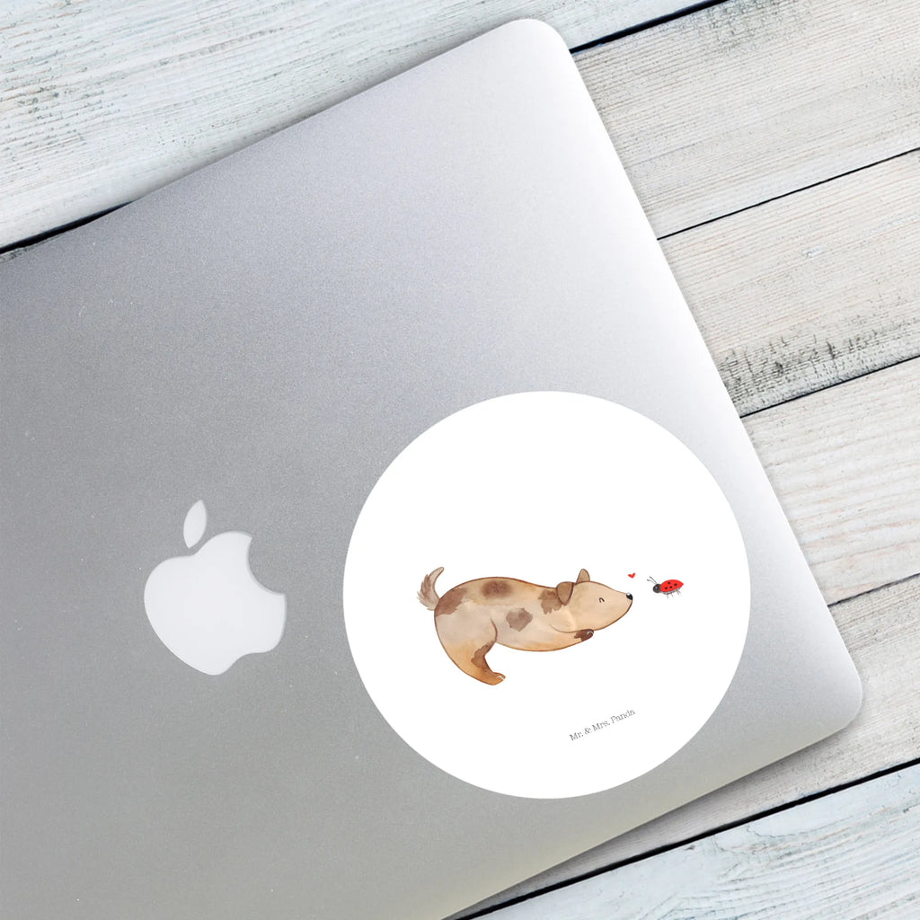 Rund Aufkleber Hund Marienkäfer 40 Mm Runde Hochzeitsaufkleber, Kindergeburtstag, 40 Mm Rundes Label, 40 Mm Runder Aufkleber, 40 Mm Runde Adressaufkleber, 40 Mm Runde Glanzaufkleber, 40 Mm Runde Aufkleberrolle, 40 Mm Runde Öko-Aufkleber, 40 Mm Vinyl-Kreisaufkleber, 40 Mm Rundes Etikett, 40 Mm Blanko Rundaufkleber, 40 Mm Selbstklebender Kreis, 40 Mm Kreisaufkleber, 40 Mm Runde UV-beständige Aufkleber, 40 Mm Runde Dekosticker, 40 Mm Runde Sicherheitsaufkleber, 40 Mm Runde Marmeladenetiketten, 40 Mm Runde Klebefolie, 40 Mm Runde Gewürzetiketten, 40 Mm Runde Pralinenaufkleber, 40 Mm Runde Haftfolie, 40 Mm Runde Siegelaufkleber, 40 Mm Runde Etiketten, 40 Mm Runde Mattaufkleber, 40 Mm Papier-Kreisaufkleber, 40 Mm Runde Wasserfeste Sticker, 40 Mm Runde Kinderaufkleber, 40 Mm Bedruckbarer Rundsticker, 40 Mm Runde Klebepunkte, 40 Mm Kork-Kreisuntersetzer, 40 Mm Runde Versandaufkleber, 40 Mm Runde Stickerfolie, 40 Mm Runde Produktaufkleber, 40 Mm Rundaufkleber, 40 Mm Runde Gastgeschenkaufkleber, 40 Mm Kreisrunder Sticker, 40 Mm Rundes Logo-Etikett, 40 Mm Runde Einladungsetiketten, 40 Mm Runde Transparentsticker, Hundebesitzer, Hunderasse, Hundemotiv, Haustier, Tierliebhaber, Hund, Sprüche, Marienkäfer, Hundespruch, Hunde, Mischlinghund, Mischling