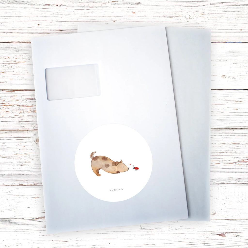 Rund Aufkleber Hund Marienkäfer 40 Mm Runde Hochzeitsaufkleber, Kindergeburtstag, 40 Mm Rundes Label, 40 Mm Runder Aufkleber, 40 Mm Runde Adressaufkleber, 40 Mm Runde Glanzaufkleber, 40 Mm Runde Aufkleberrolle, 40 Mm Runde Öko-Aufkleber, 40 Mm Vinyl-Kreisaufkleber, 40 Mm Rundes Etikett, 40 Mm Blanko Rundaufkleber, 40 Mm Selbstklebender Kreis, 40 Mm Kreisaufkleber, 40 Mm Runde UV-beständige Aufkleber, 40 Mm Runde Dekosticker, 40 Mm Runde Sicherheitsaufkleber, 40 Mm Runde Marmeladenetiketten, 40 Mm Runde Klebefolie, 40 Mm Runde Gewürzetiketten, 40 Mm Runde Pralinenaufkleber, 40 Mm Runde Haftfolie, 40 Mm Runde Siegelaufkleber, 40 Mm Runde Etiketten, 40 Mm Runde Mattaufkleber, 40 Mm Papier-Kreisaufkleber, 40 Mm Runde Wasserfeste Sticker, 40 Mm Runde Kinderaufkleber, 40 Mm Bedruckbarer Rundsticker, 40 Mm Runde Klebepunkte, 40 Mm Kork-Kreisuntersetzer, 40 Mm Runde Versandaufkleber, 40 Mm Runde Stickerfolie, 40 Mm Runde Produktaufkleber, 40 Mm Rundaufkleber, 40 Mm Runde Gastgeschenkaufkleber, 40 Mm Kreisrunder Sticker, 40 Mm Rundes Logo-Etikett, 40 Mm Runde Einladungsetiketten, 40 Mm Runde Transparentsticker, Hundebesitzer, Hunderasse, Hundemotiv, Haustier, Tierliebhaber, Hund, Sprüche, Marienkäfer, Hundespruch, Hunde, Mischlinghund, Mischling