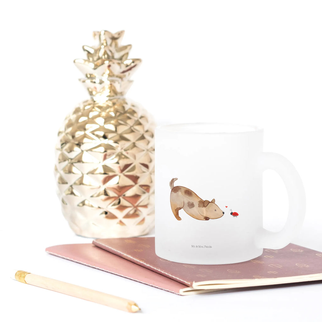 Glass tea cup Dog ladybug tea, glass, mug, Tea cup, tea glass, dog, mutt, hound, woof, dog mama, dog breed, love dogs, love for dogs, dog decorative items, bag with dog print, funny gifts for dog owners, what do you give a dog lover, Christmas gifts for dogs, gifts for dogs, dog sayings, Dog slogan, Mongrel, Sayings, Dog, Ladybird, Mongrel dog, Dogs