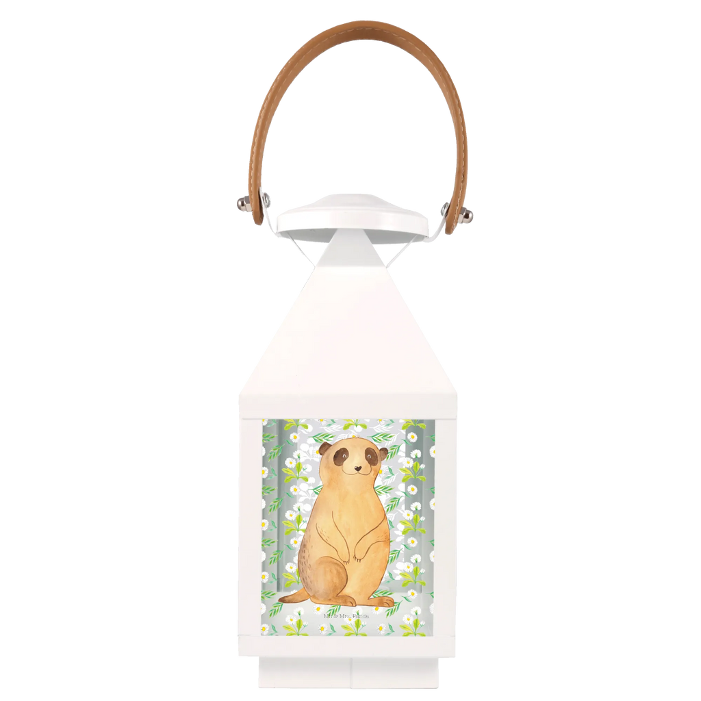 Decorative lantern Meerkat Africa, Traveling, Travel, Road trip, Meerkat, World trip, Saying, Africa trip