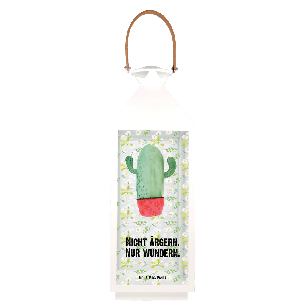 Decorative lantern cactus Fury cactus, cactuses, plants, cactus plant, small green cactus, annoy, angry, boss, school, colleague, office life, office