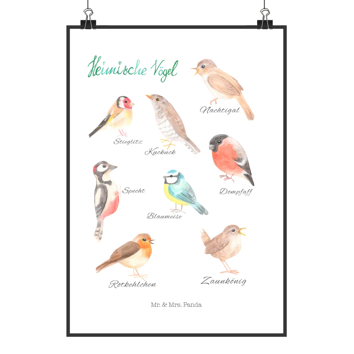 Poster Native birds Deko Poster, drucke, wandkunst, Wanddekoration, Kunstdruck, Wandbild, typografie poster, Wanddeko Bild, wanddeko, Designposter, kunstposter, wanddruck, Bild, Plakat, Mr. & Mrs. Panda Poster, Posterdruck, grafikposter, kunstdruck poster, Deko Bild, Wandschmuck, Design Poster, Panda Poster, Dekoration, Abenteuer, Natur, Outdoor, Blumen Deko, Frühlings Deko, Sommer Deko, positive Botschaft, Naturliebhaber, Vögel, Heimische Vögel