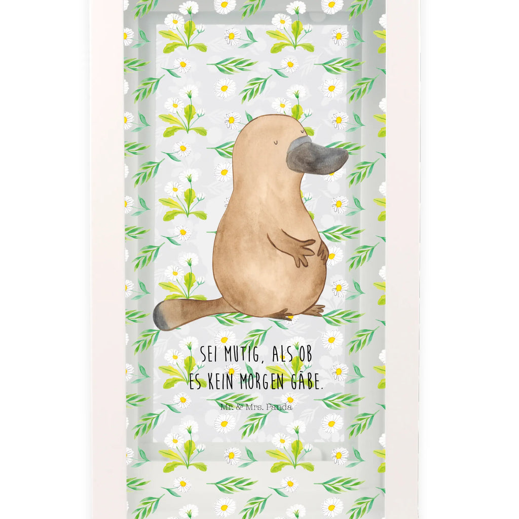 Decorative lantern platypus courage Seafood, aquatic animals, ocean, sea, fish, shells, corals, reef, whale, narwhal, sea urchin, lobster, platypus, turtle, manatee, crocodile, orca, shrimp, gifts for seafood lovers, water world, underwater animals, underwater world, vacation, deep sea, seafood fans, gift ideas, seafood decoration, seafood posters, brave, world trip, motivation, training, new beginning, courage, Platypus, office, wisdom, Raodtrip, new start, work