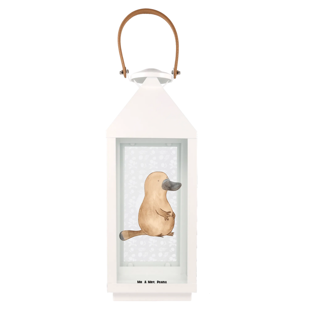 Decorative lantern platypus courage Seafood, aquatic animals, ocean, sea, fish, shells, corals, reef, whale, narwhal, sea urchin, lobster, platypus, turtle, manatee, crocodile, orca, shrimp, gifts for seafood lovers, water world, underwater animals, underwater world, vacation, deep sea, seafood fans, gift ideas, seafood decoration, seafood posters, brave, world trip, motivation, training, new beginning, courage, Platypus, office, wisdom, Raodtrip, new start, work