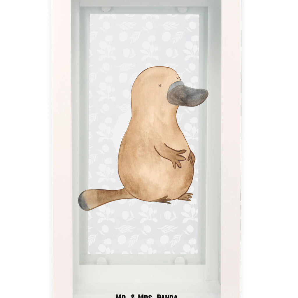 Decorative lantern platypus courage Seafood, aquatic animals, ocean, sea, fish, shells, corals, reef, whale, narwhal, sea urchin, lobster, platypus, turtle, manatee, crocodile, orca, shrimp, gifts for seafood lovers, water world, underwater animals, underwater world, vacation, deep sea, seafood fans, gift ideas, seafood decoration, seafood posters, brave, world trip, motivation, training, new beginning, courage, Platypus, office, wisdom, Raodtrip, new start, work