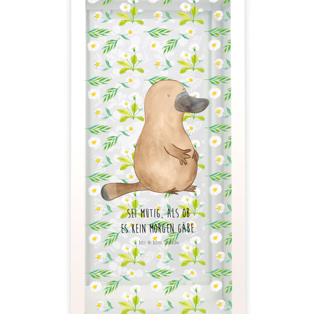 Decorative lantern platypus courage Seafood, aquatic animals, ocean, sea, fish, shells, corals, reef, whale, narwhal, sea urchin, lobster, platypus, turtle, manatee, crocodile, orca, shrimp, gifts for seafood lovers, water world, underwater animals, underwater world, vacation, deep sea, seafood fans, gift ideas, seafood decoration, seafood posters, brave, world trip, motivation, training, new beginning, courage, Platypus, office, wisdom, Raodtrip, new start, work