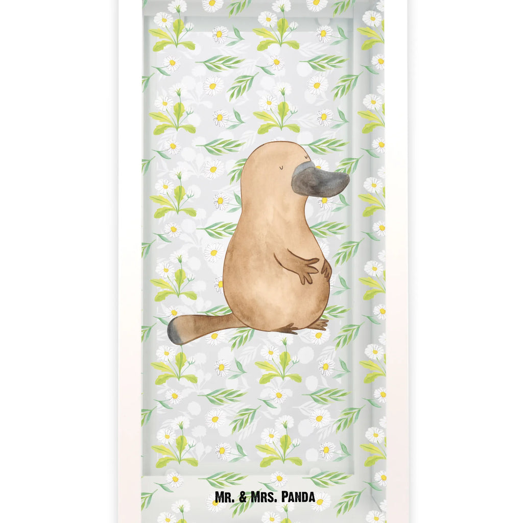 Decorative lantern platypus courage Seafood, aquatic animals, ocean, sea, fish, shells, corals, reef, whale, narwhal, sea urchin, lobster, platypus, turtle, manatee, crocodile, orca, shrimp, gifts for seafood lovers, water world, underwater animals, underwater world, vacation, deep sea, seafood fans, gift ideas, seafood decoration, seafood posters, brave, world trip, motivation, training, new beginning, courage, Platypus, office, wisdom, Raodtrip, new start, work