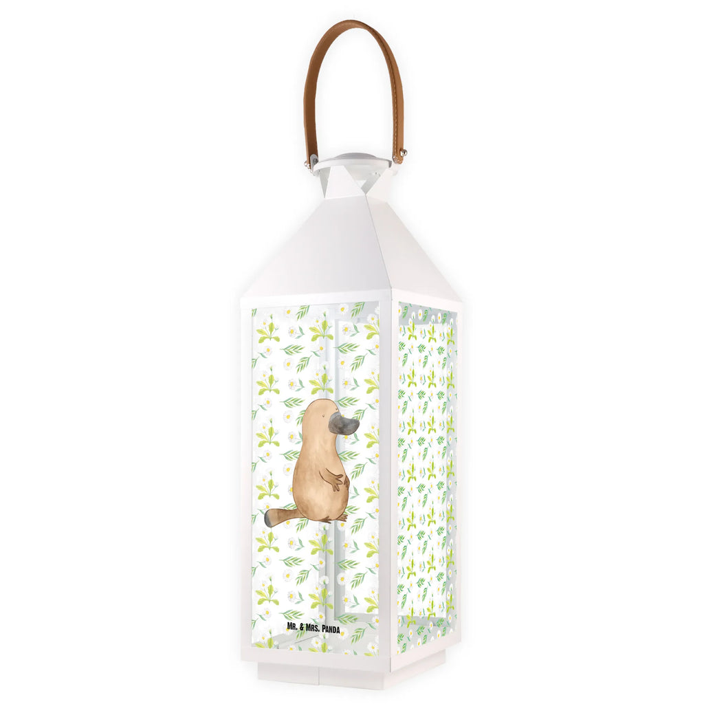 Decorative lantern platypus courage Seafood, aquatic animals, ocean, sea, fish, shells, corals, reef, whale, narwhal, sea urchin, lobster, platypus, turtle, manatee, crocodile, orca, shrimp, gifts for seafood lovers, water world, underwater animals, underwater world, vacation, deep sea, seafood fans, gift ideas, seafood decoration, seafood posters, brave, world trip, motivation, training, new beginning, courage, Platypus, office, wisdom, Raodtrip, new start, work