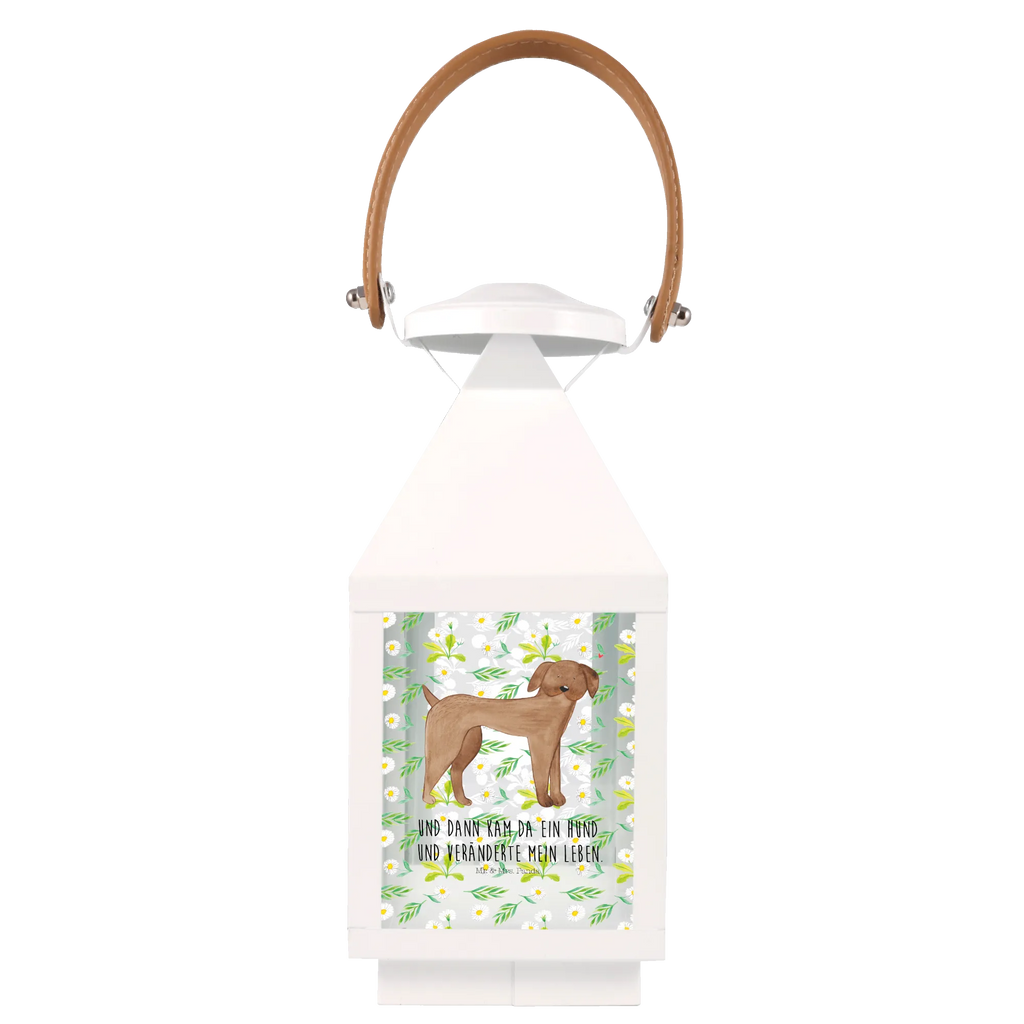 Deko Laterne Hund Dogge Laterne Mit Sternenmuster, Laterne Mit Muster, Windlichtlaterne, Laterne Shabby Chic, Holzlaterne, Innenraum-Laterne, Laterne Mit Spiegelglas, Laterne Landhausstil, Laterne Modern, Glaslaterne, Laterne Romantisch, Laternen-Set, Hängeleuchte, Laterne Spülmaschinenfest (Glas), Laterne Weiß, Kerzenlaterne, Laterne Deko, Leuchten, Laterne Rustikal, Laterne Orientalisch, Laterne Skandinavisch, Laternenwindlicht, Laterne Zum Hängen, Teelichthalter Laterne, Laterne Vintage, Dekolaterne, Laterne Beleuchtet, Laterne XXL, LED-Laterne, Tischlaterne, Laterne Zum Stellen, Laterne Maritim, Laterne Pastellfarben, Laternenlicht, Metalllaterne, Lichterlaterne, Lichterkettenlaterne, Laterne Mit Motiv, Terrasse-Laterne, Windlicht, Laterne Wind- und Wetterfest, Laterne Mit Griff, Metall Laterne, Laterne Klein, Laterne Mit Blumenmotiv, Laterne Klassisch, Laterne Minimalistisch, Deko Laterne, Outdoor-Laterne, Hängelaterne Deko, Sprüche, Hundemotiv, Hundebesitzer, Hund, Tierliebhaber, Hunderasse, Haustier, Dogge, Deutsche Dogge, Great Dane, Hunde