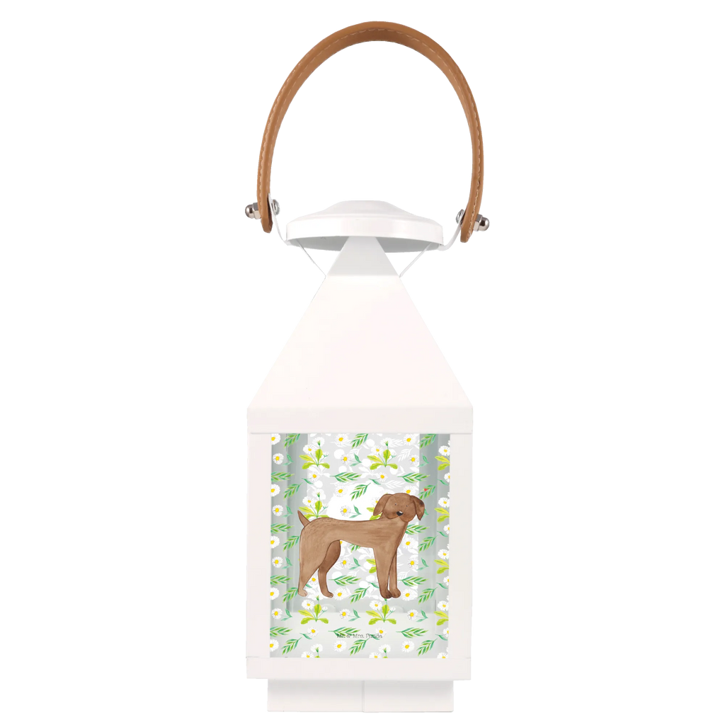 Deko Laterne Hund Dogge Laterne Mit Sternenmuster, Laterne Mit Muster, Windlichtlaterne, Laterne Shabby Chic, Holzlaterne, Innenraum-Laterne, Laterne Mit Spiegelglas, Laterne Landhausstil, Laterne Modern, Glaslaterne, Laterne Romantisch, Laternen-Set, Hängeleuchte, Laterne Spülmaschinenfest (Glas), Laterne Weiß, Kerzenlaterne, Laterne Deko, Leuchten, Laterne Rustikal, Laterne Orientalisch, Laterne Skandinavisch, Laternenwindlicht, Laterne Zum Hängen, Teelichthalter Laterne, Laterne Vintage, Dekolaterne, Laterne Beleuchtet, Laterne XXL, LED-Laterne, Tischlaterne, Laterne Zum Stellen, Laterne Maritim, Laterne Pastellfarben, Laternenlicht, Metalllaterne, Lichterlaterne, Lichterkettenlaterne, Laterne Mit Motiv, Terrasse-Laterne, Windlicht, Laterne Wind- und Wetterfest, Laterne Mit Griff, Metall Laterne, Laterne Klein, Laterne Mit Blumenmotiv, Laterne Klassisch, Laterne Minimalistisch, Deko Laterne, Outdoor-Laterne, Hängelaterne Deko, Sprüche, Hundemotiv, Hundebesitzer, Hund, Tierliebhaber, Hunderasse, Haustier, Dogge, Deutsche Dogge, Great Dane, Hunde