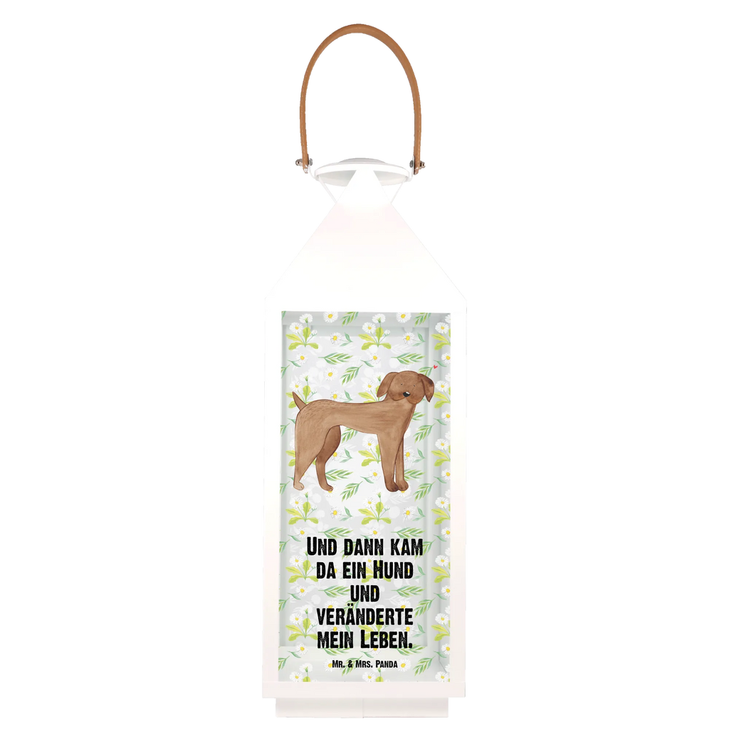 Deko Laterne Hund Dogge Laterne Mit Sternenmuster, Laterne Mit Muster, Windlichtlaterne, Laterne Shabby Chic, Holzlaterne, Innenraum-Laterne, Laterne Mit Spiegelglas, Laterne Landhausstil, Laterne Modern, Glaslaterne, Laterne Romantisch, Laternen-Set, Hängeleuchte, Laterne Spülmaschinenfest (Glas), Laterne Weiß, Kerzenlaterne, Laterne Deko, Leuchten, Laterne Rustikal, Laterne Orientalisch, Laterne Skandinavisch, Laternenwindlicht, Laterne Zum Hängen, Teelichthalter Laterne, Laterne Vintage, Dekolaterne, Laterne Beleuchtet, Laterne XXL, LED-Laterne, Tischlaterne, Laterne Zum Stellen, Laterne Maritim, Laterne Pastellfarben, Laternenlicht, Metalllaterne, Lichterlaterne, Lichterkettenlaterne, Laterne Mit Motiv, Terrasse-Laterne, Windlicht, Laterne Wind- und Wetterfest, Laterne Mit Griff, Metall Laterne, Laterne Klein, Laterne Mit Blumenmotiv, Laterne Klassisch, Laterne Minimalistisch, Deko Laterne, Outdoor-Laterne, Hängelaterne Deko, Sprüche, Hundemotiv, Hundebesitzer, Hund, Tierliebhaber, Hunderasse, Haustier, Dogge, Deutsche Dogge, Great Dane, Hunde