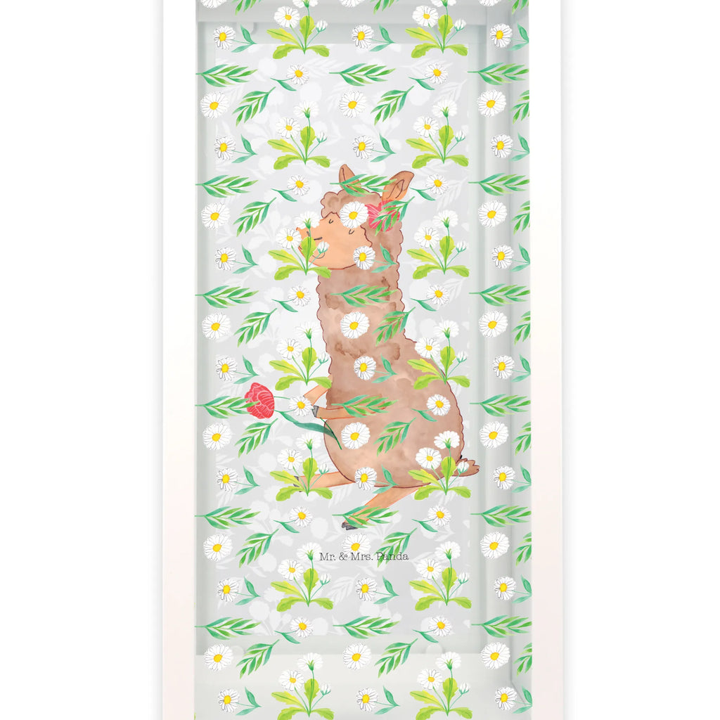 Decorative lantern alpaca flower alpaca, llama, pako, camel, Peru, animal, favourite animal, Alpaca, flower, llamas