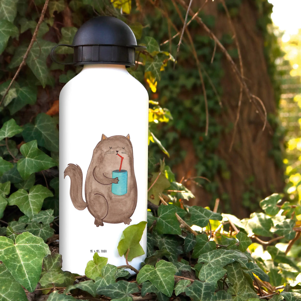 Kids drinks bottle Cat can Children, Kindergarten bottle, Bottle, Drinking bottle, Primary school, Children's bottle, Kids, cat, tomcat, kitty, meow, kitten, housecat, mama cat, love cats, cat image, cat fan, cat lover, cat fancier, cat decoration, gift for cat lover, cat owner, funny cats, cat sayings, cat motto, funny cat gifts, fan merchandise, cat stuff, animal lover, pet, cats, Cats, food, cat food, pussy