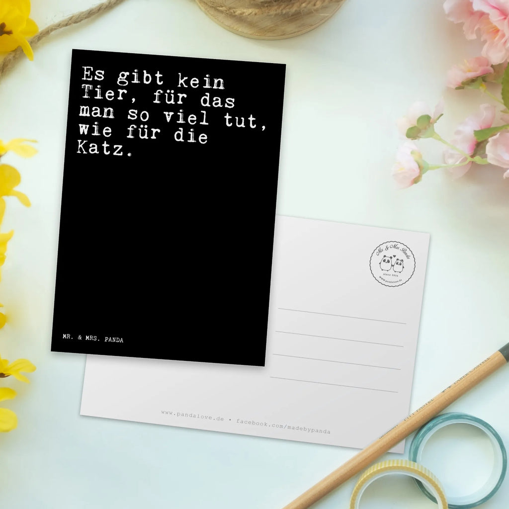 Postkarte Sprüche und Zitate Es gibt kein Tier, für das man so viel tut, wie für die Katz. Karte, Postkarte, Ansichtskarte, Ansichtskarten, Einladungskarten Geburtstag, Einladungskarte, Geschenkkarte, Einladung Geburtstag, Dankeskarte, Geburtstagskarte, Einladung, Grußkarte, Spruch, Sprüche, lustige Sprüche, Weisheiten, Zitate, Spruch Geschenke, Spruch Sprüche Weisheiten Zitate Lustig Weisheit Worte
