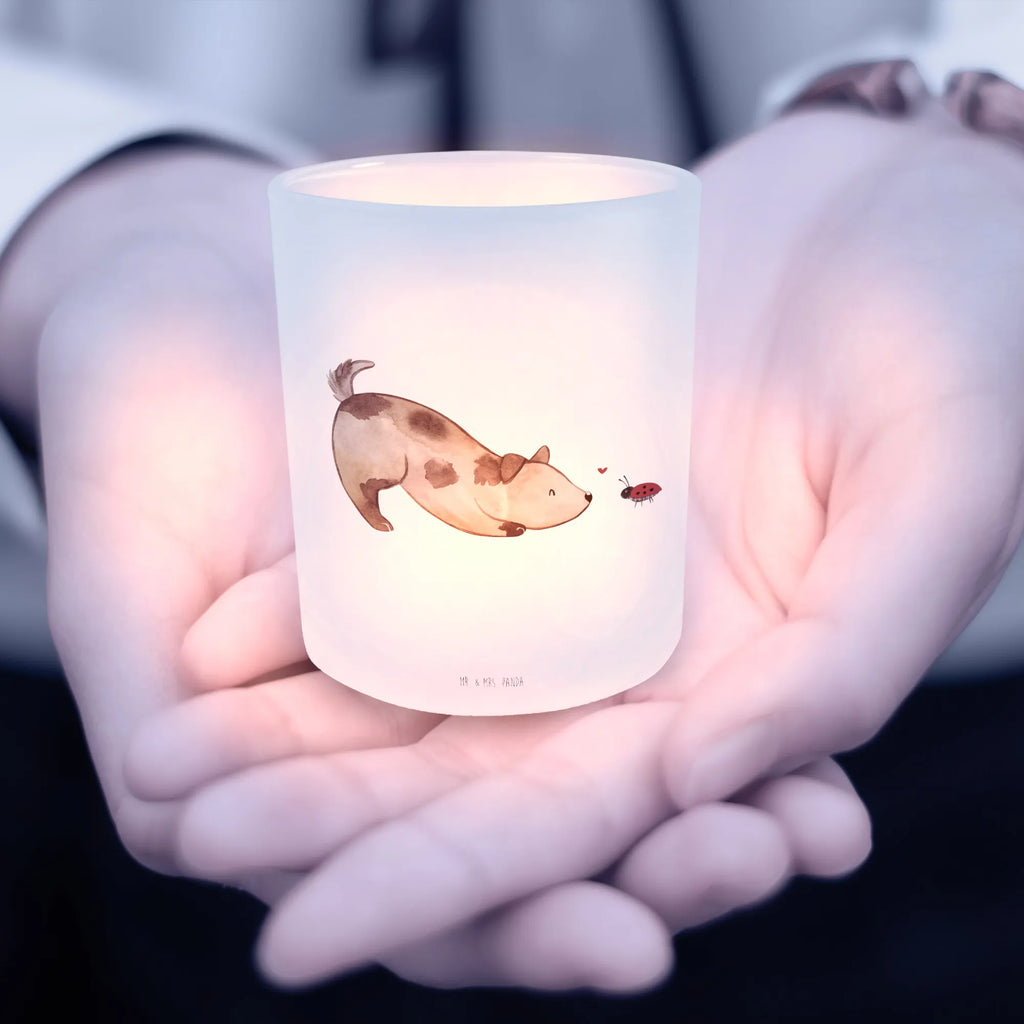 Windlicht Hund Marienkäfer Windlicht Kerzenhalter, dekolicht, Glas Windlicht, Balkon Windlicht, kerzenbehälter, laterne glas, Teelichthalter Glas, Outdoor Windlicht, Windlichter, stimmungslicht, Windlicht Milchglas, Windlicht Glas, Windlicht Deko, Lichtglas, Glas Teelichthalter, milchglas windlicht, Windlicht aus Glas, Kerzen Windlicht, Glaslaterne, Teelicht Glas, Kerzenhalter, kerzenhalter klein, Kerzenglas, ambientelicht, Windlicht Satiniert, Terrasse Windlicht, Tisch Windlicht, Outdoor Kerzenhalter, glaswindlicht, Windlicht, glas kerzenhalter, Kerzenhalter Glas, Windlicht Klein, tischlicht, Teelichthalter, teelichthalter klein, Deko Teelichthalter, Deko Windlicht, teelicht windlicht, laterne teelicht, lichthalter, tisch kerzenhalter, Windlicht Draußen, Garten Windlicht, deko kerzenhalter, teelichtglas, teelichtleuchter, Milchglas Teelichthalter, Sprüche, Hund, Hunderasse, Hundebesitzer, Hundemotiv, Haustier, Tierliebhaber, Mischlinghund, Hunde, Mischling, Hundespruch, Marienkäfer