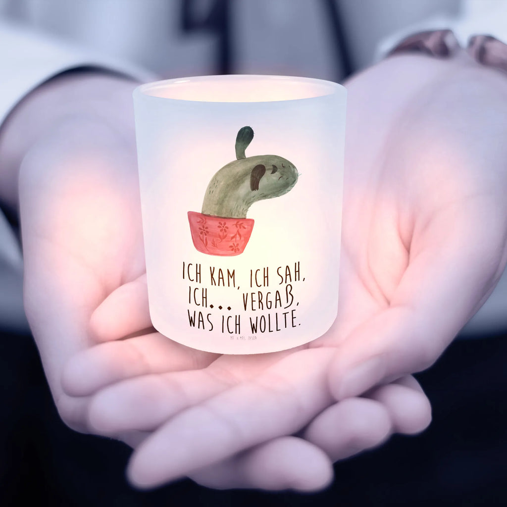 Lantern cactus mummy glass tealight, tealight holder, Wind light, cactus, cactuses, plants, cactus plant, small green cactus, motivation, annoyance, school, cactus love, office, office life, quota, cacti