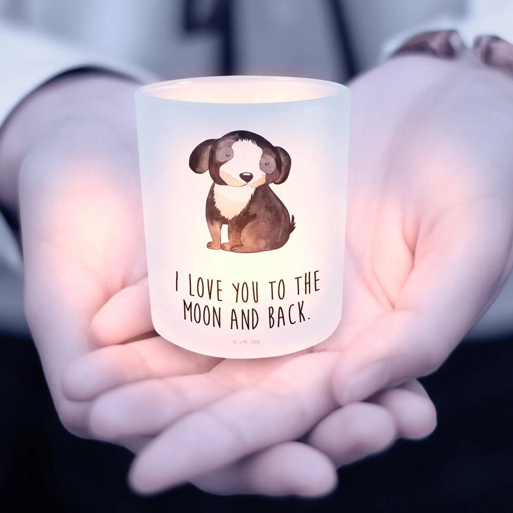 Latarenka pies relaks Pies, motyw psa, zwierzę domowe, rasa psa, miłośnik zwierząt, właściciel psa, powiedzenia