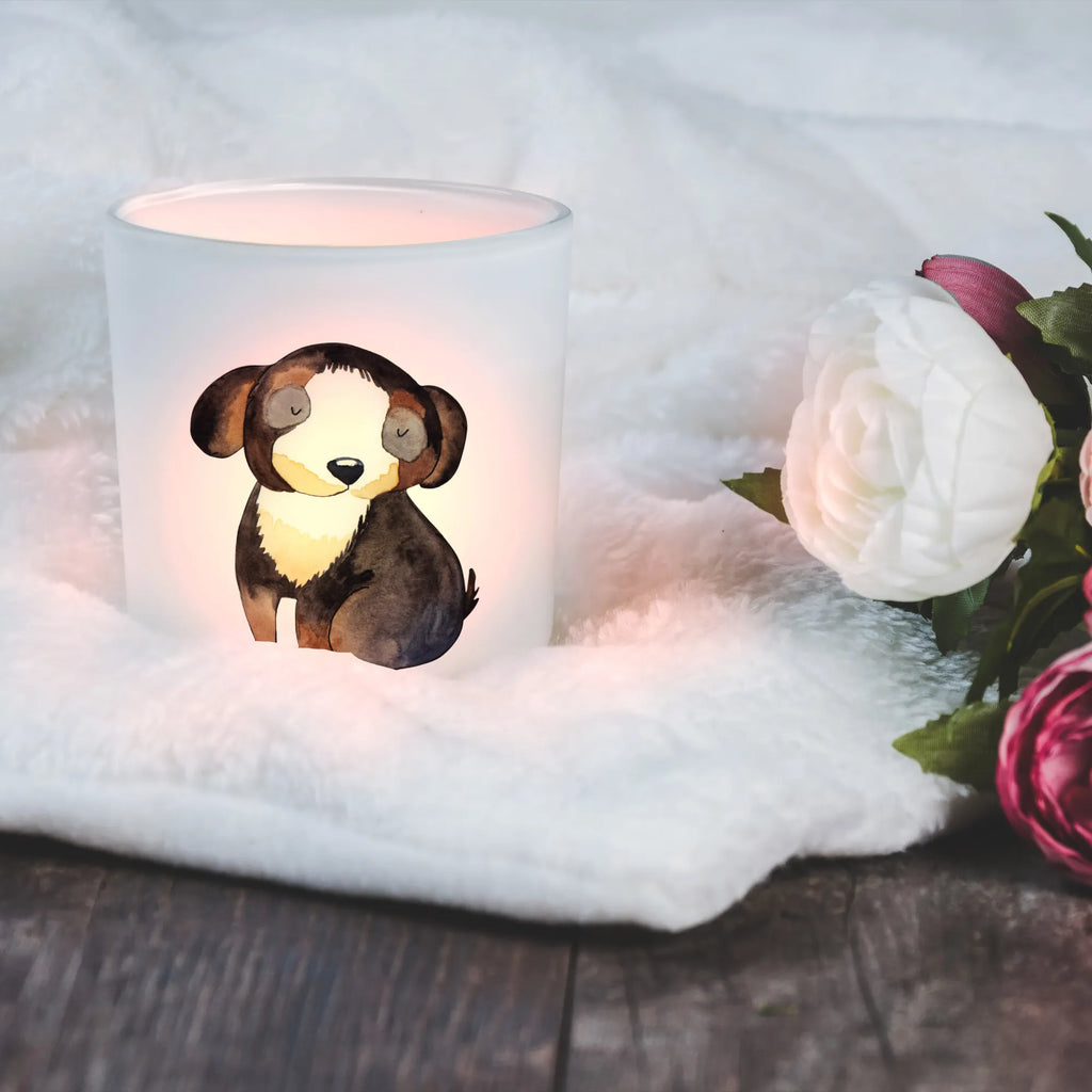 Latarenka pies relaks Pies, motyw psa, zwierzę domowe, rasa psa, miłośnik zwierząt, właściciel psa, powiedzenia